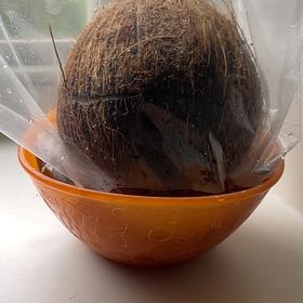 Coconutty