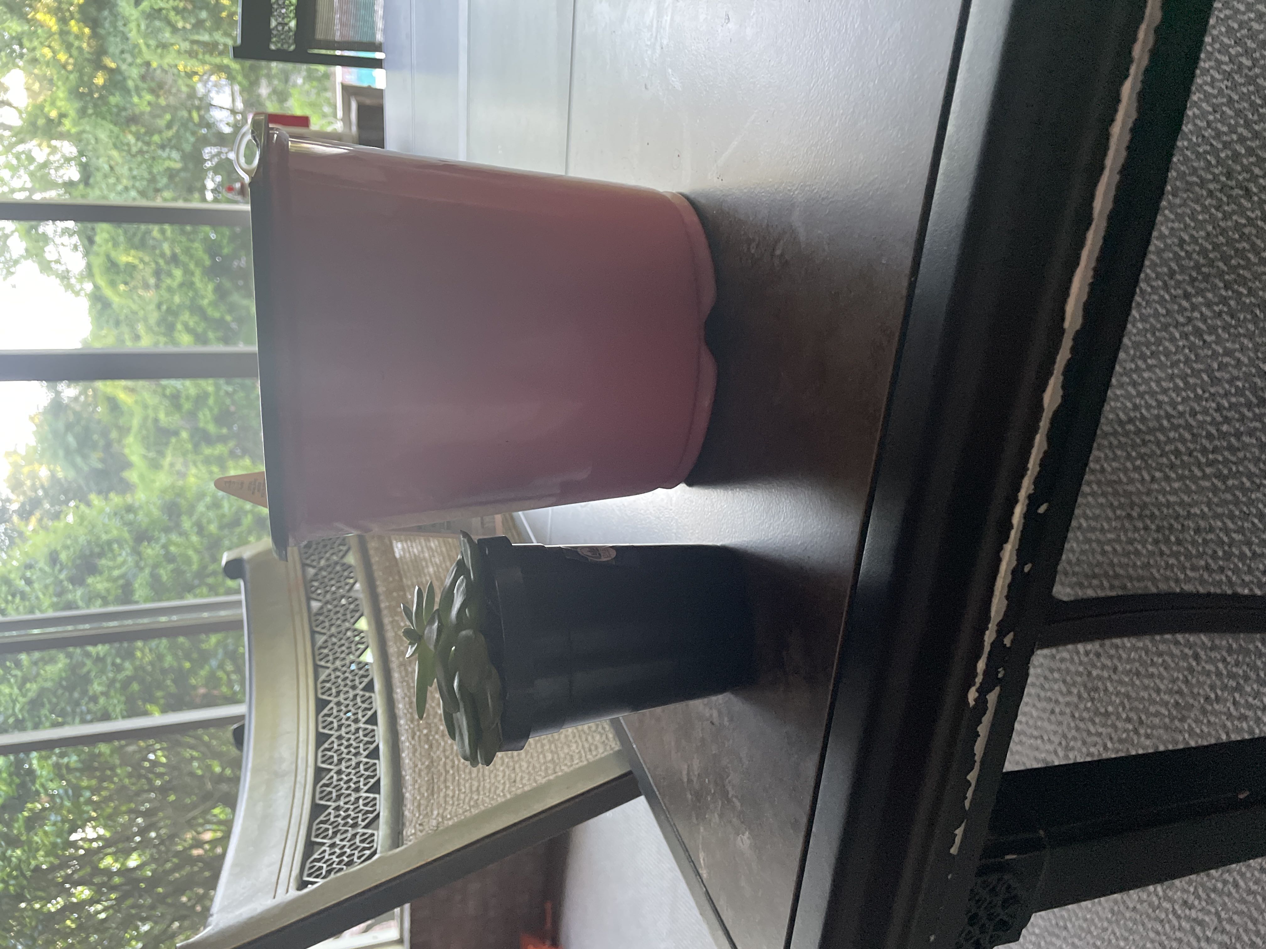 Photo from the post