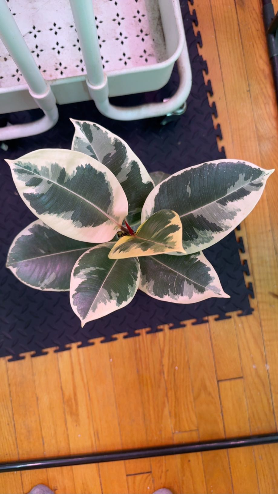Photo from the post
