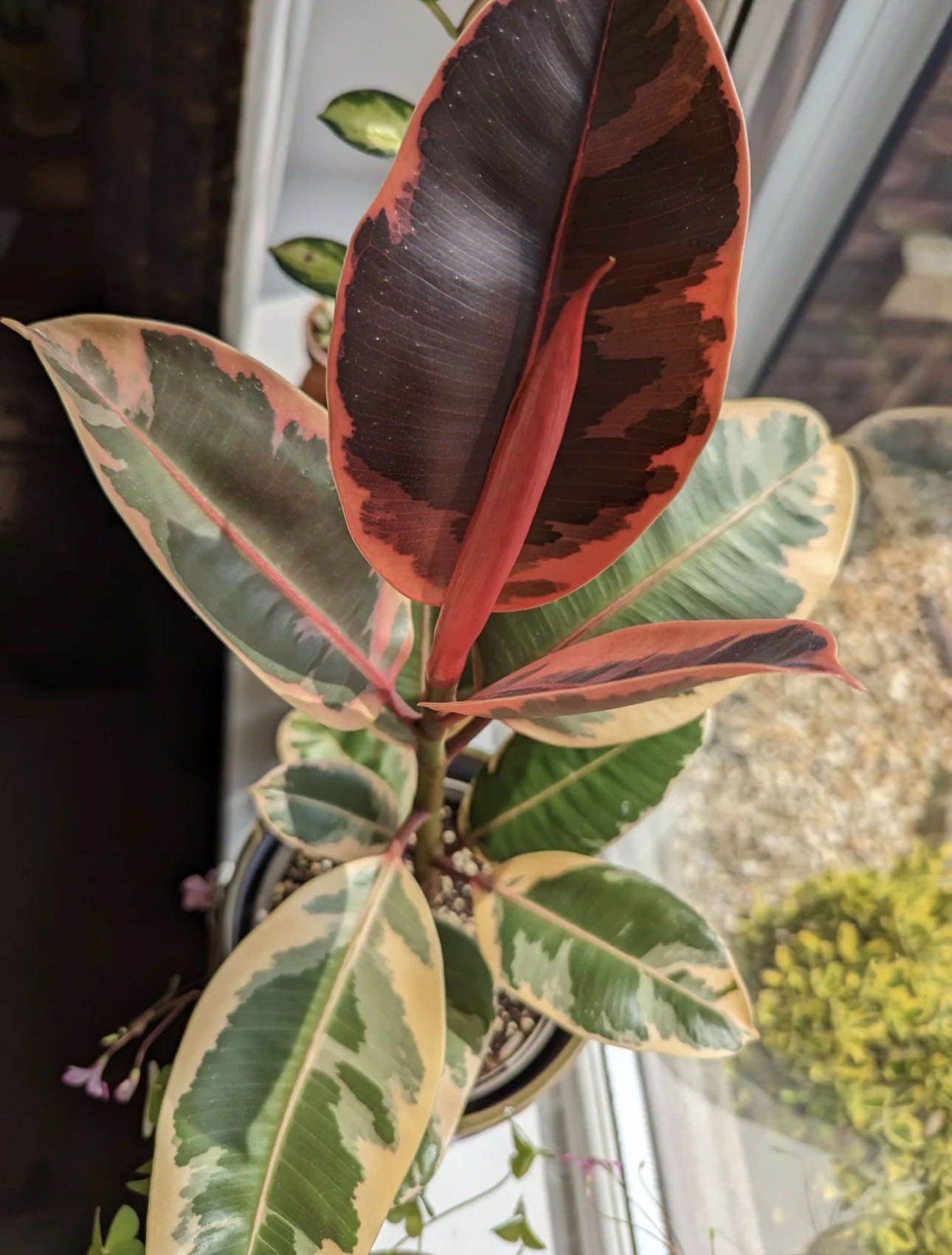Photo from the post