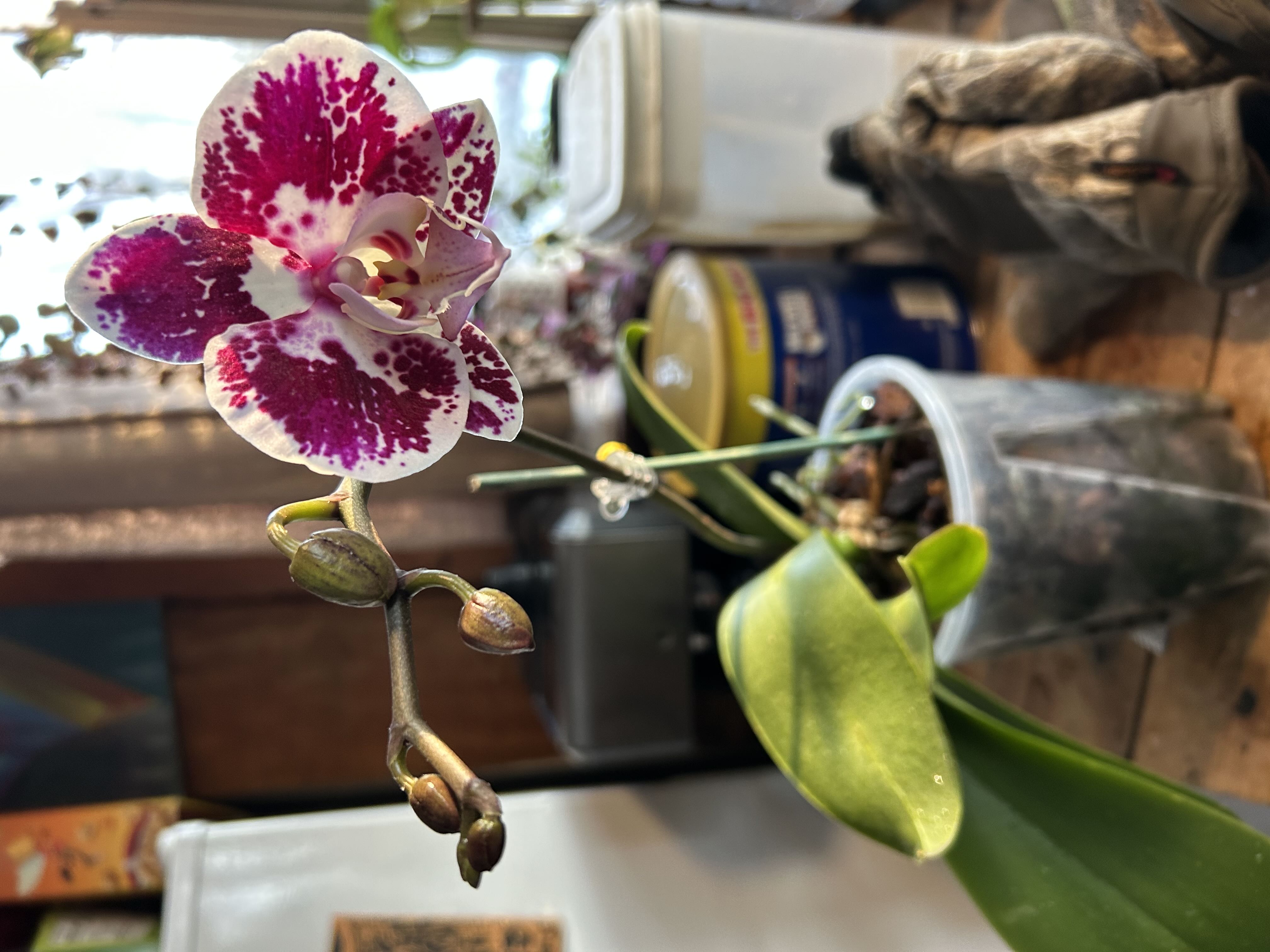 Photo from the post