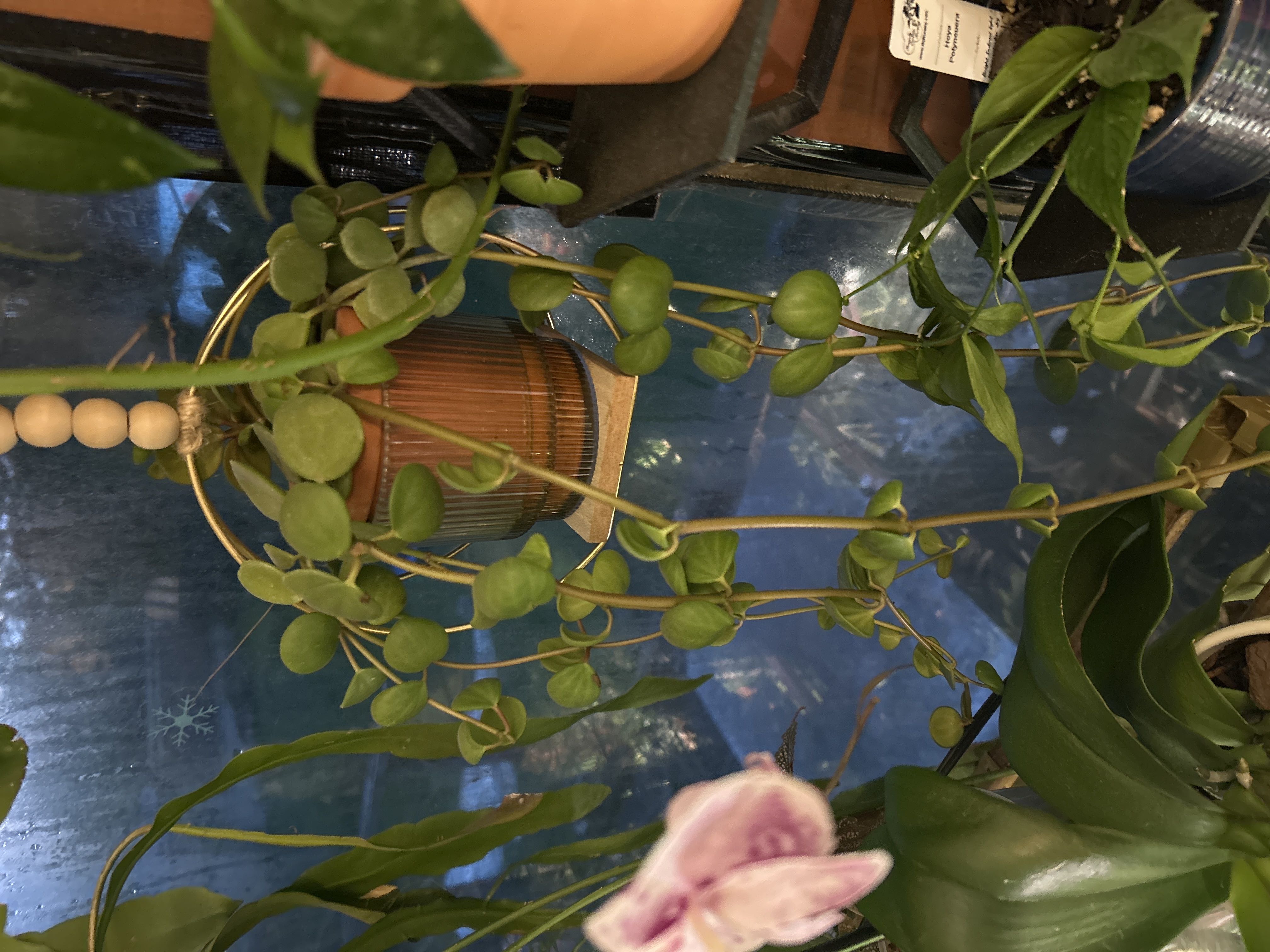 Photo from the post