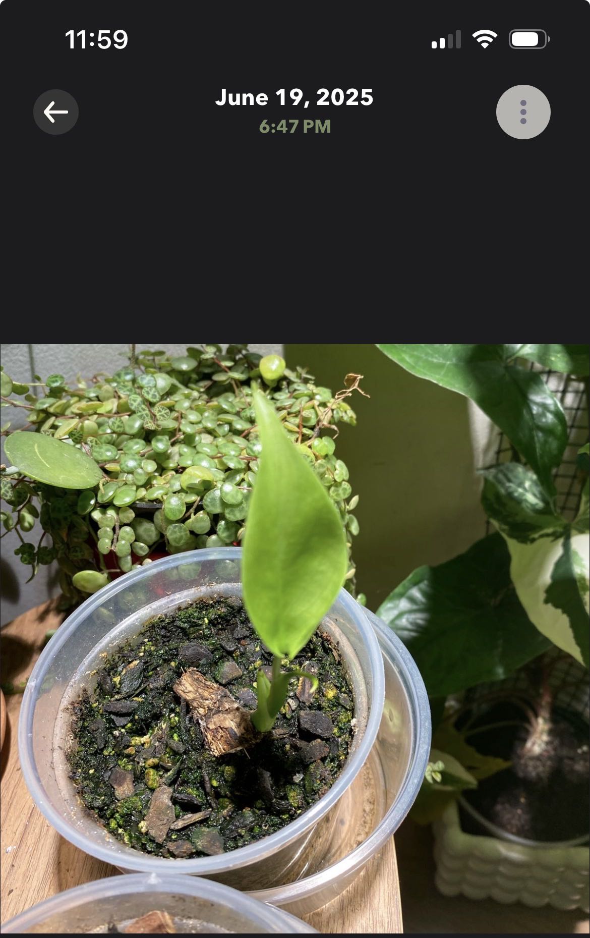Photo from the post