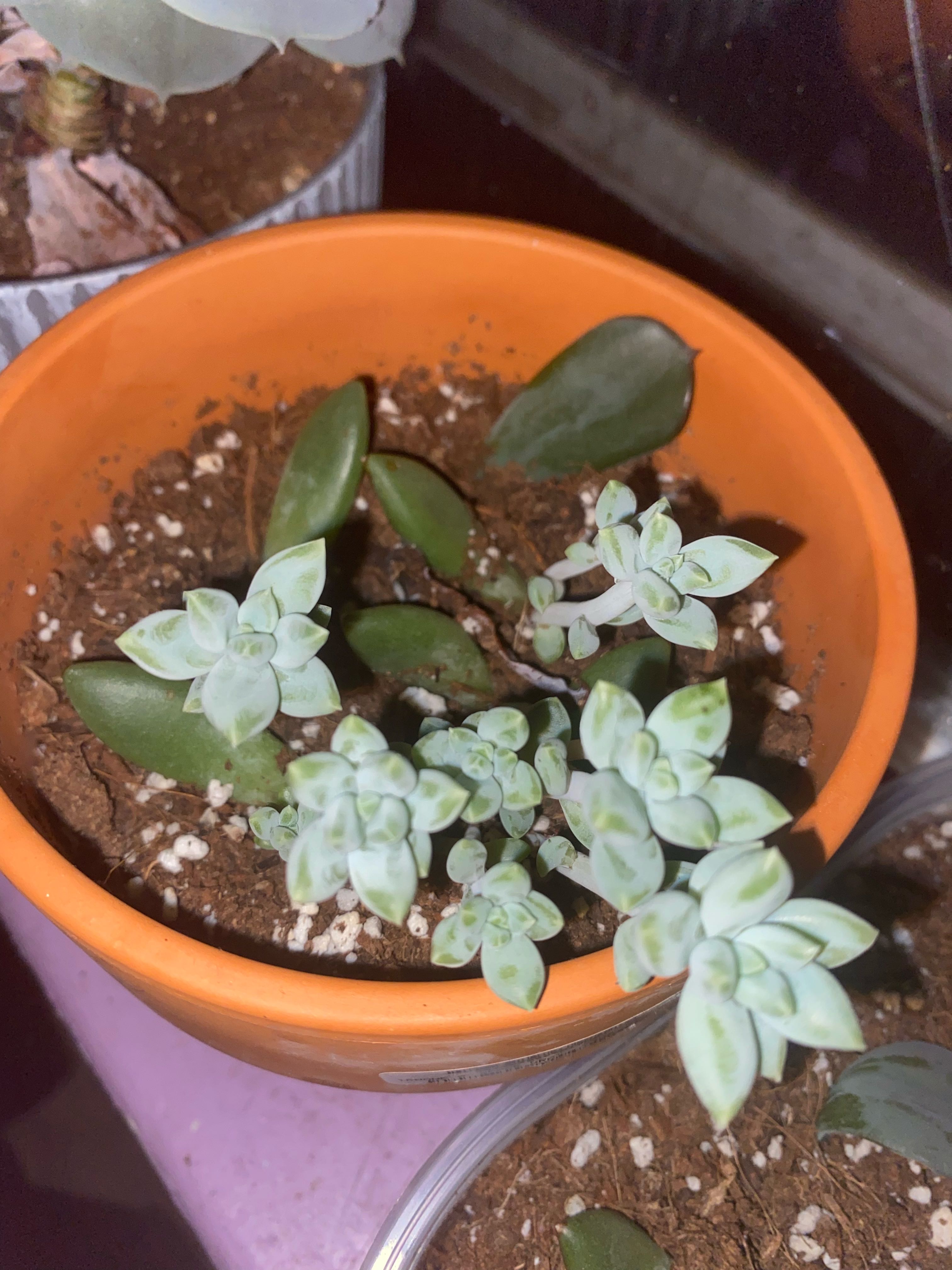 Photo from the post