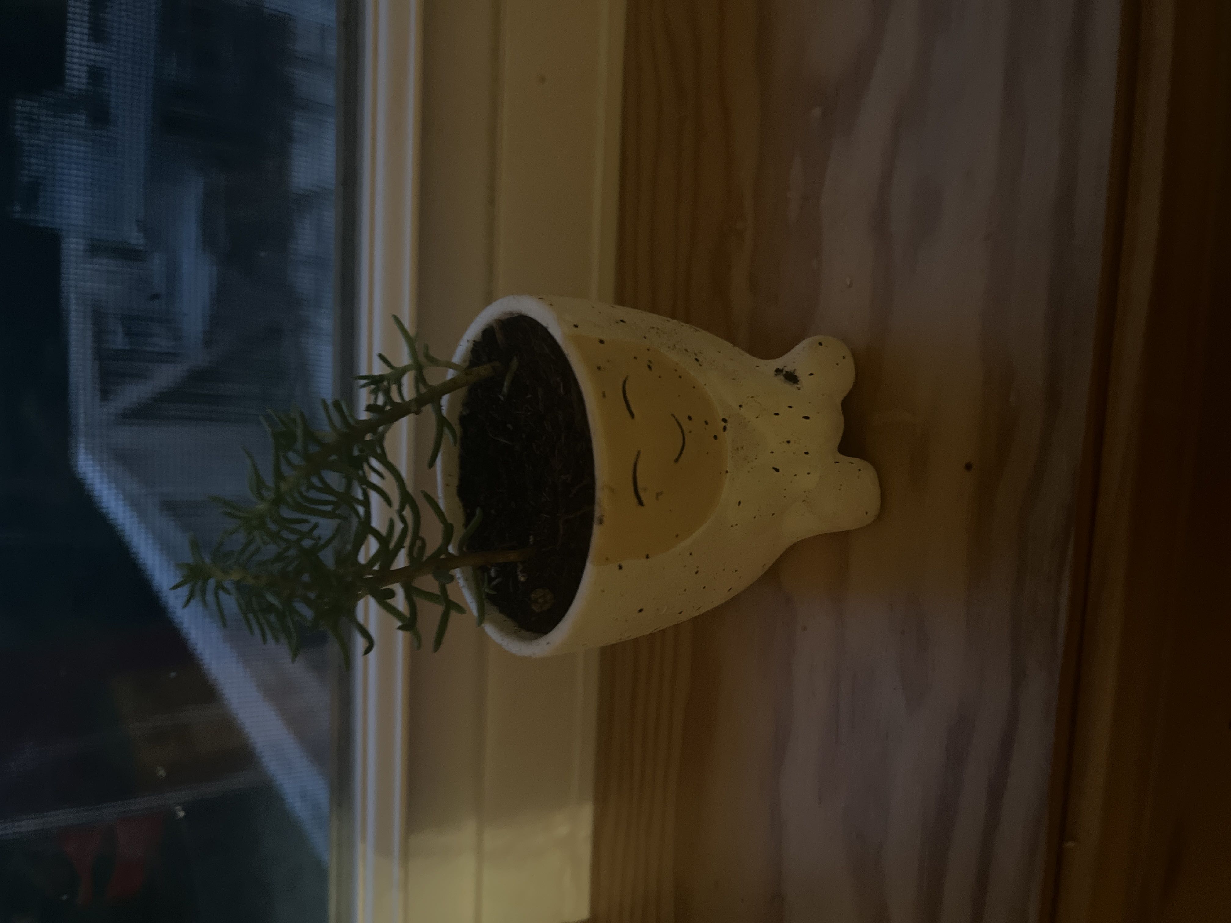 Photo from the post