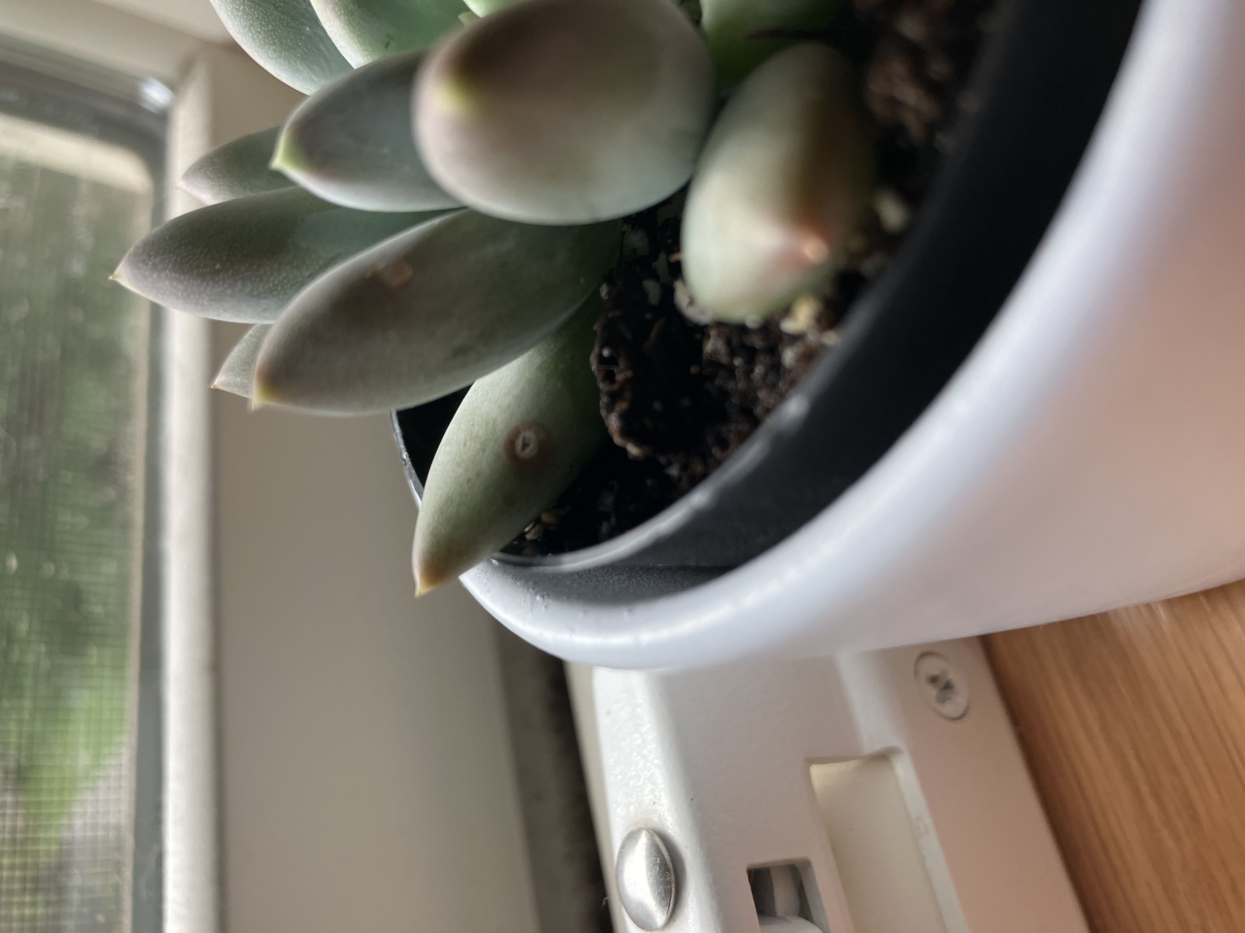 Photo from the post