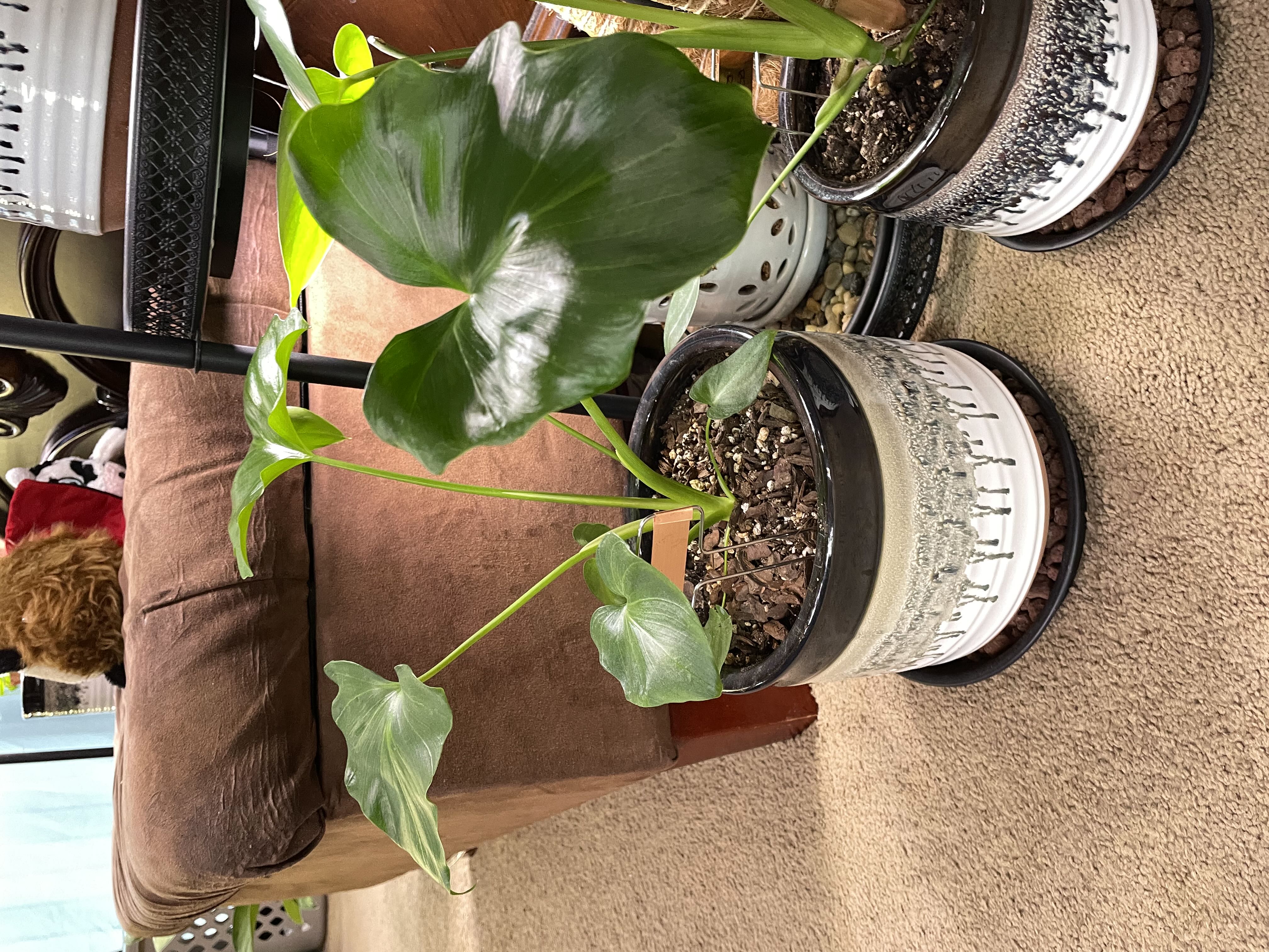 Photo from the post