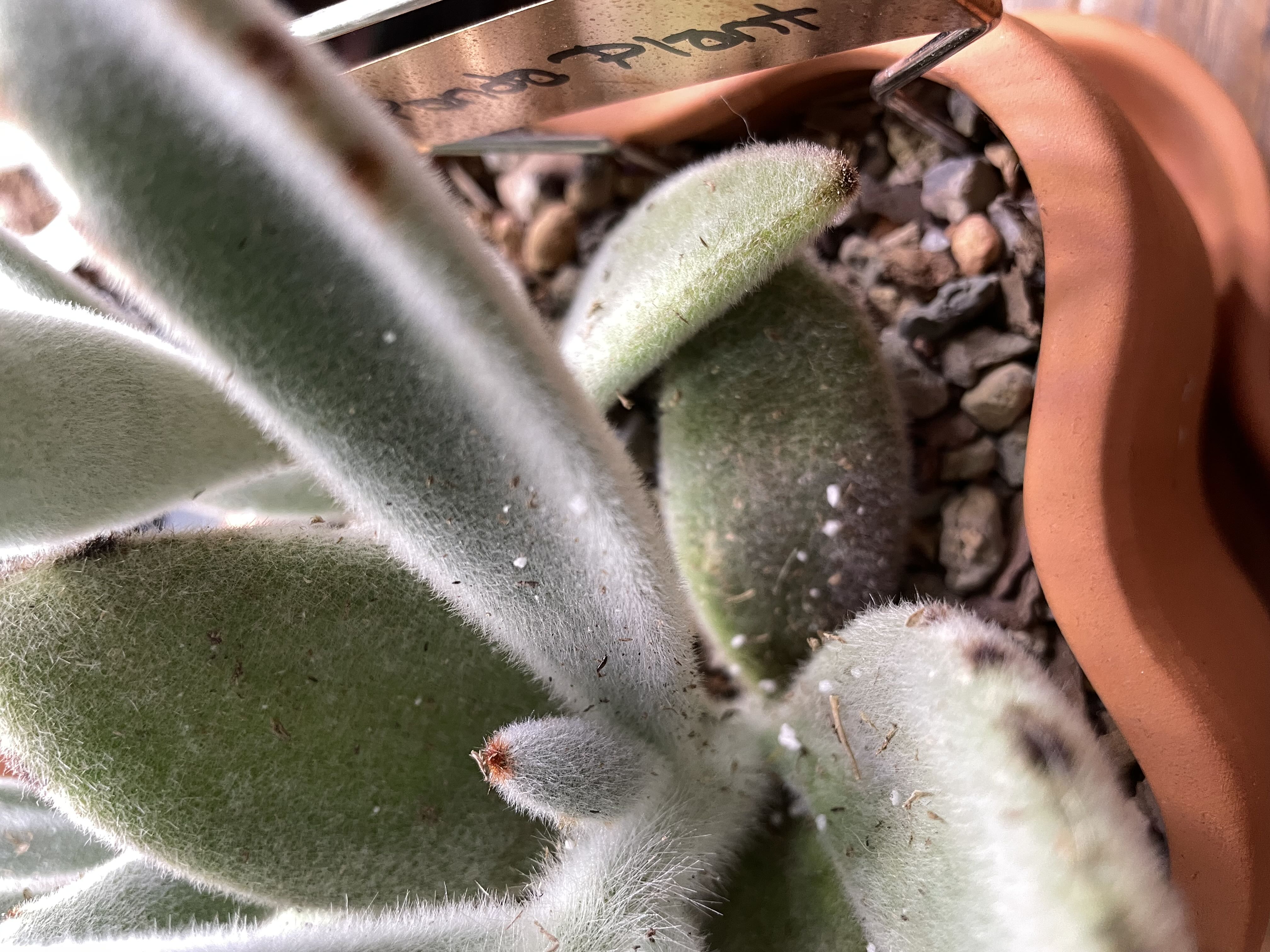 Photo from the post