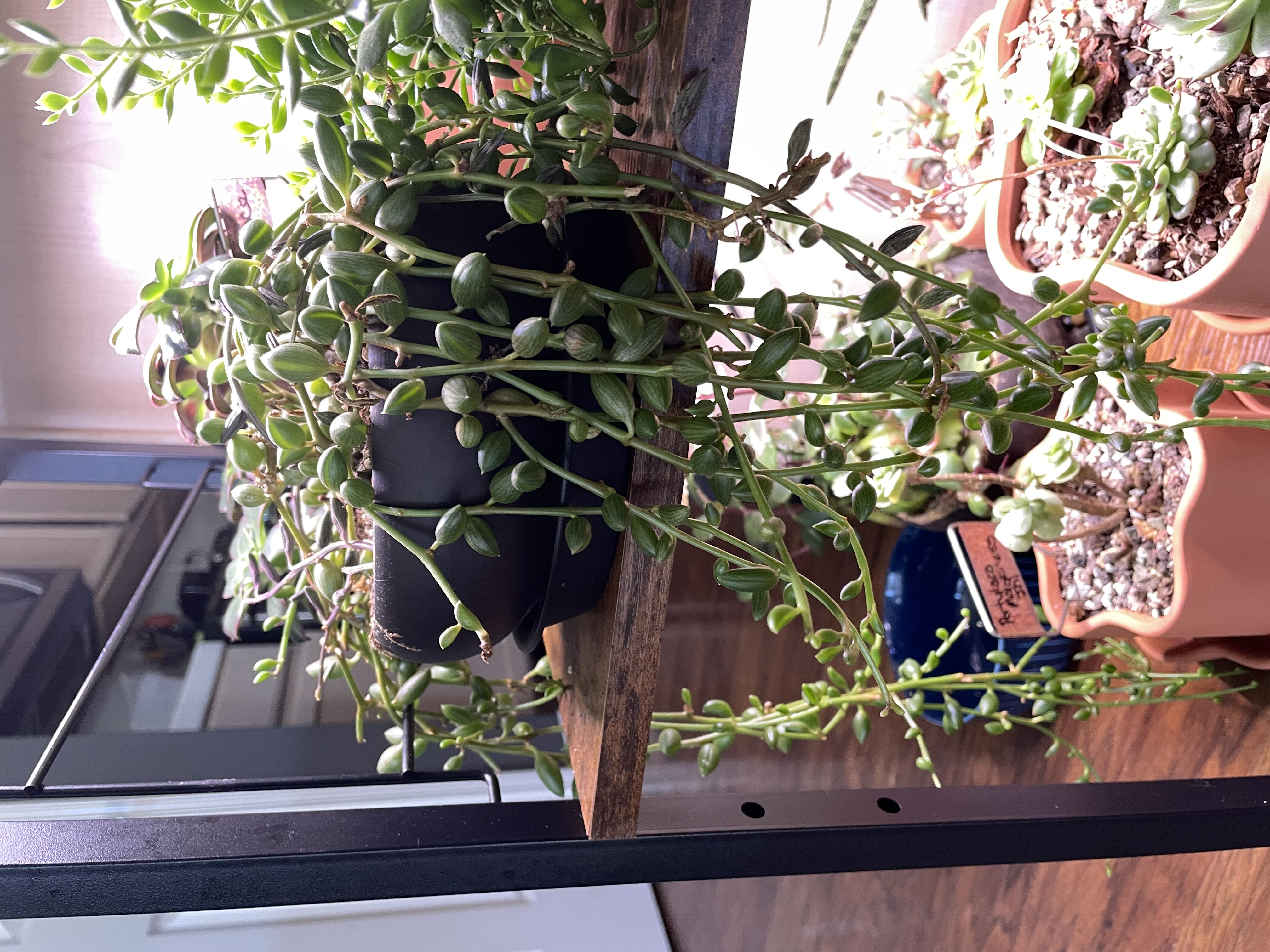 Photo from the post