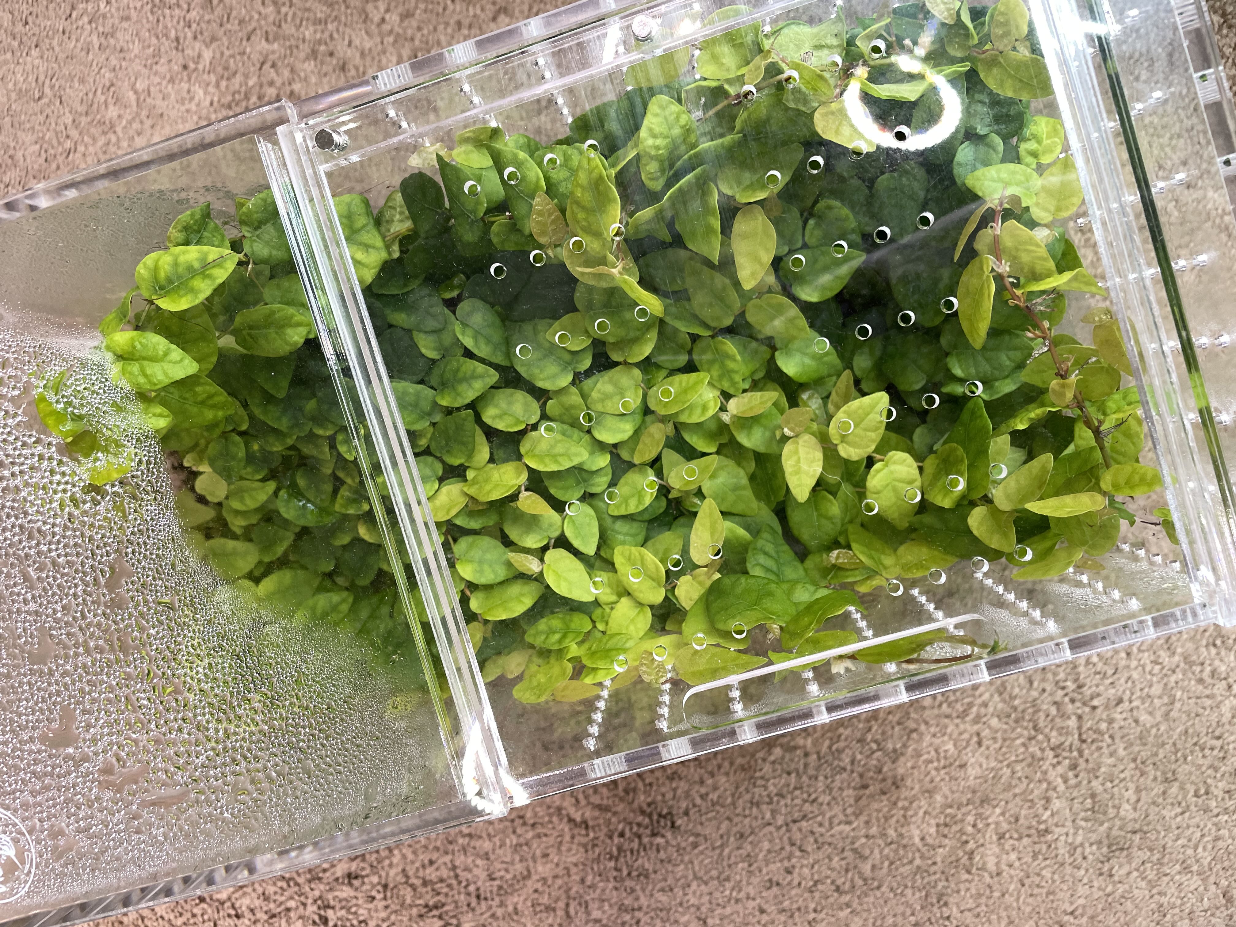 Photo from the post