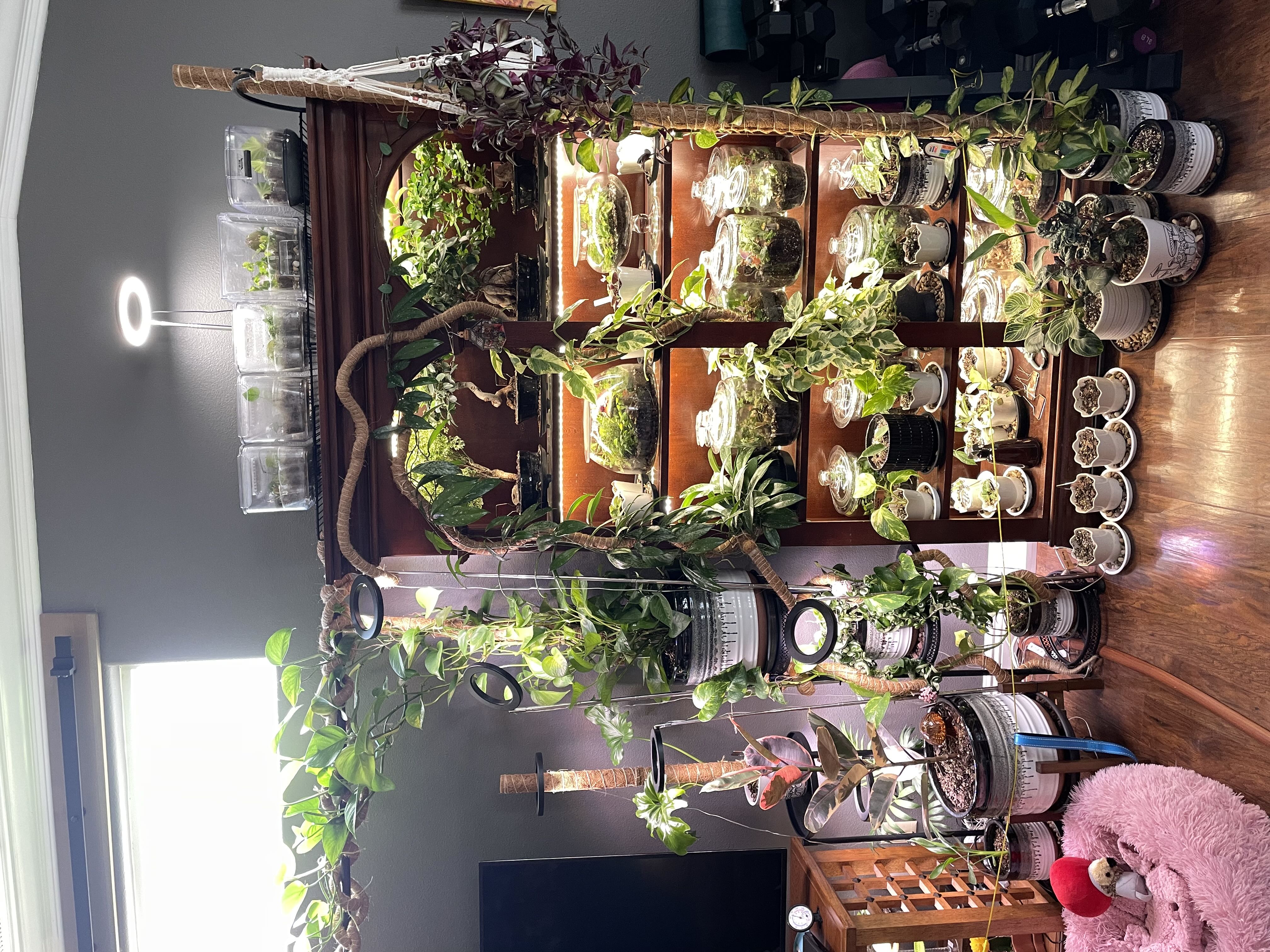 Photo from the post