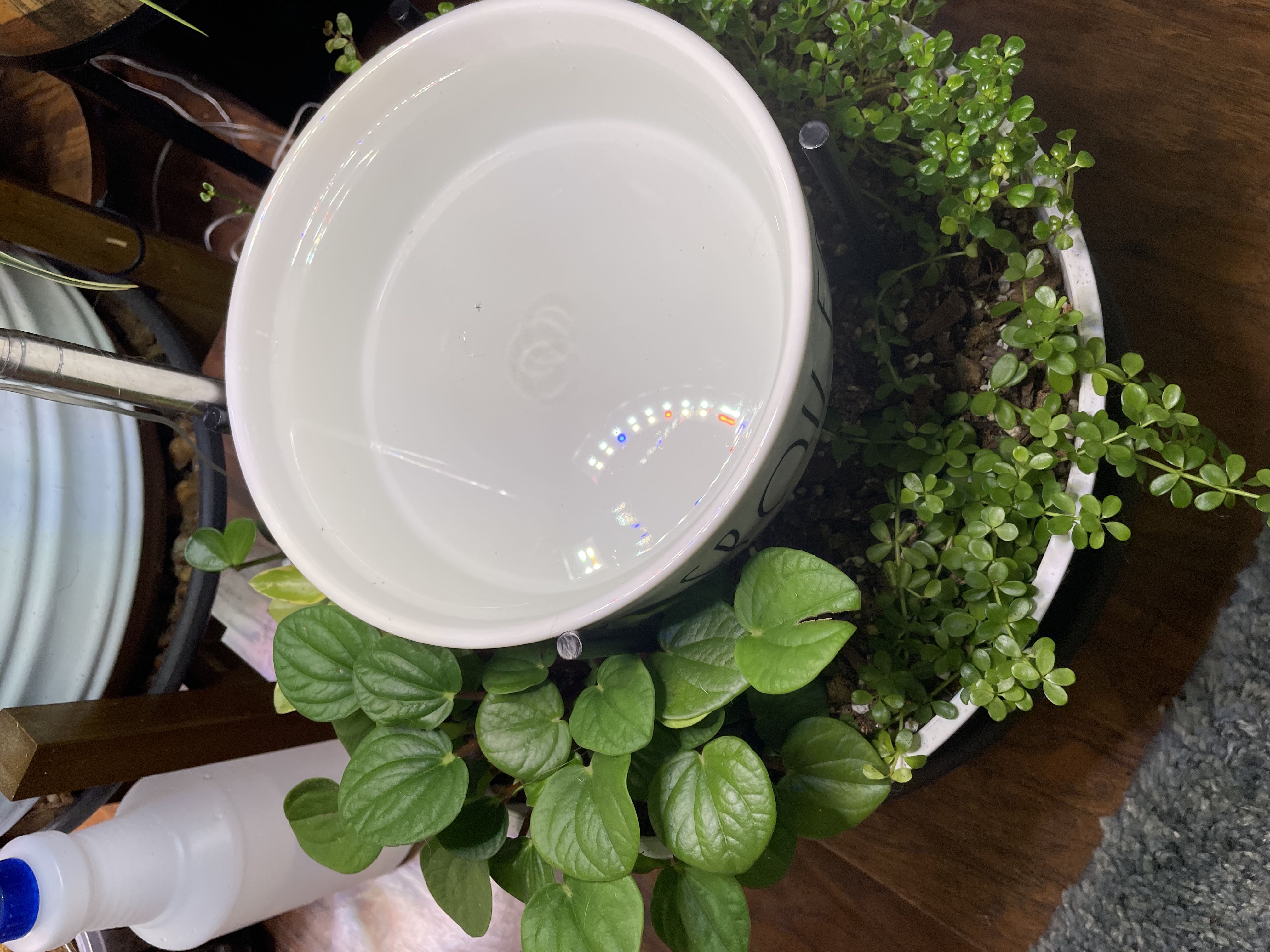 Photo from the post