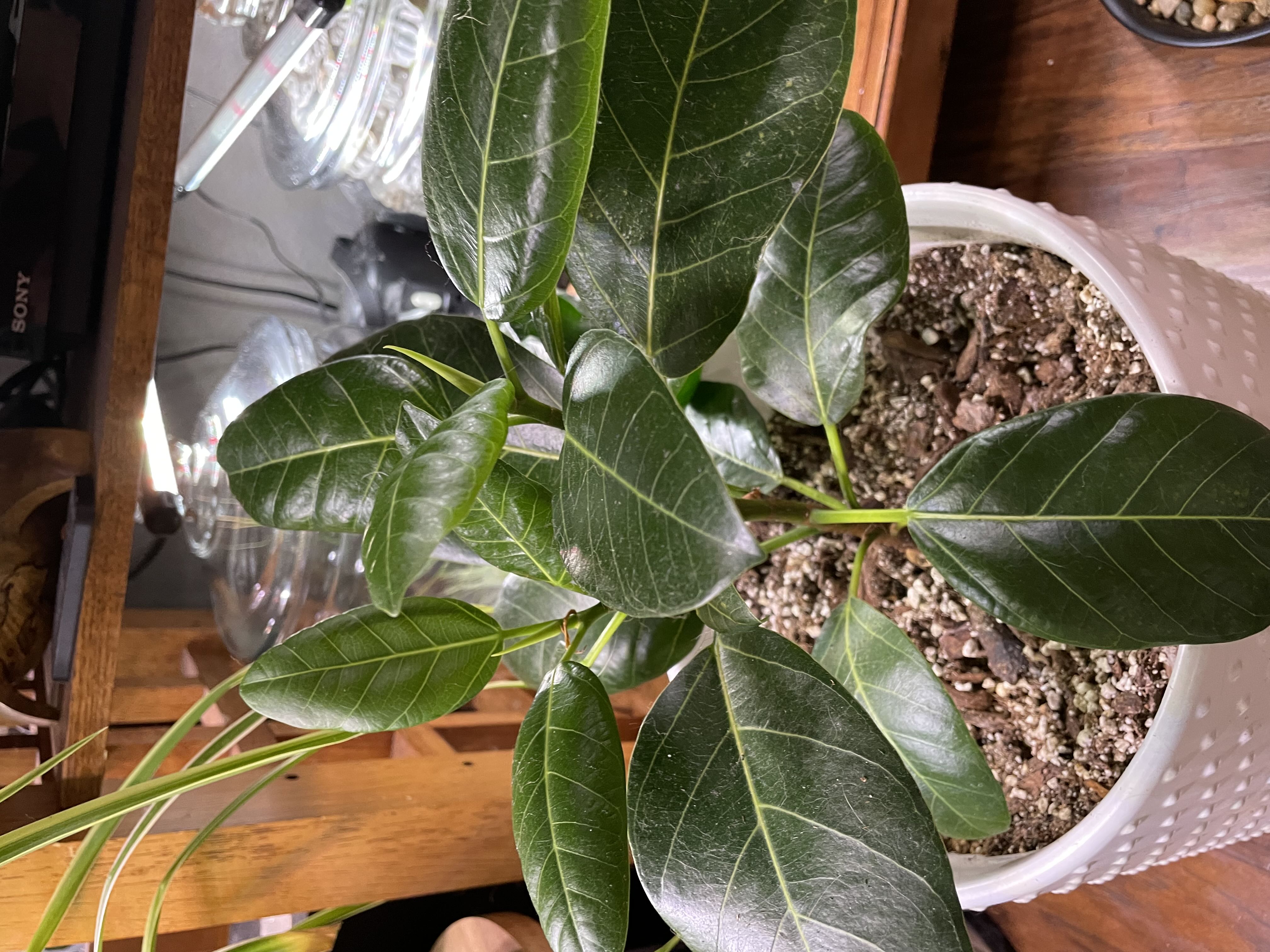 Photo from the post