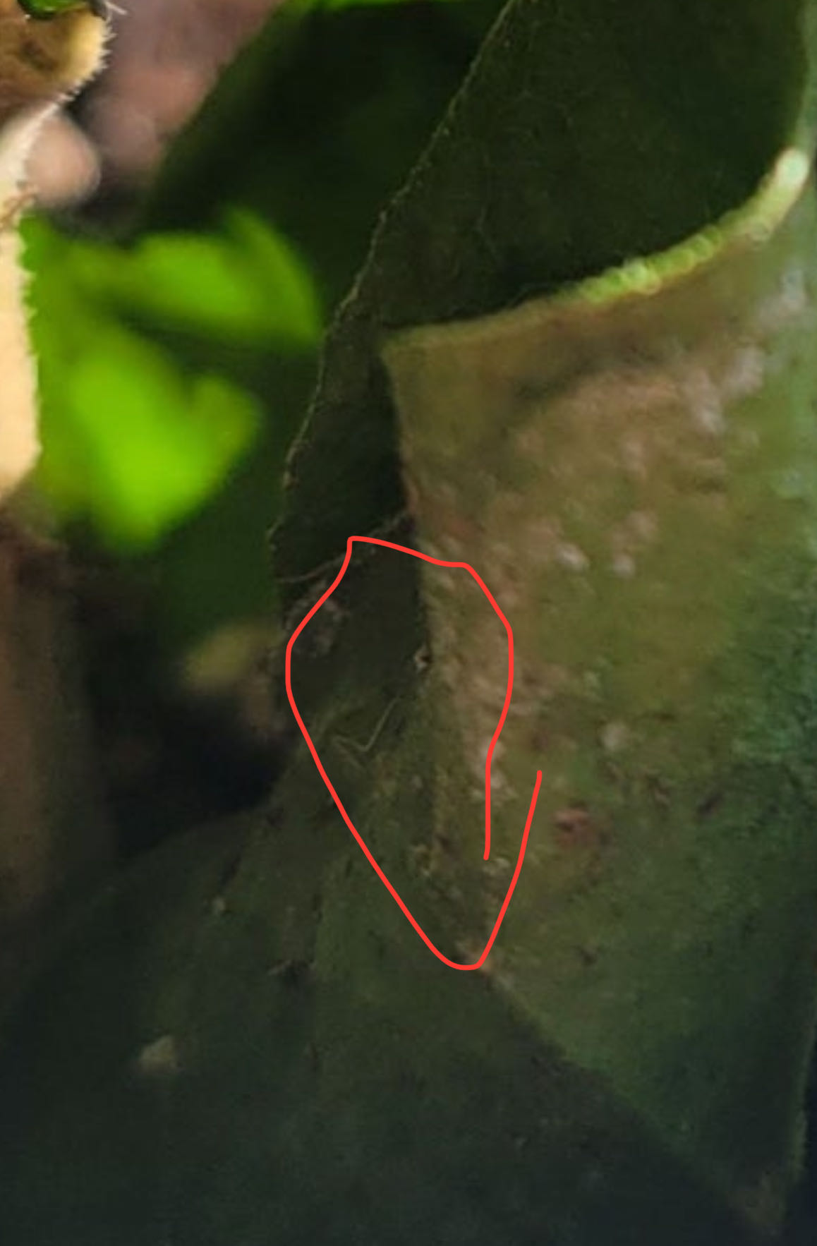 Photo from the post