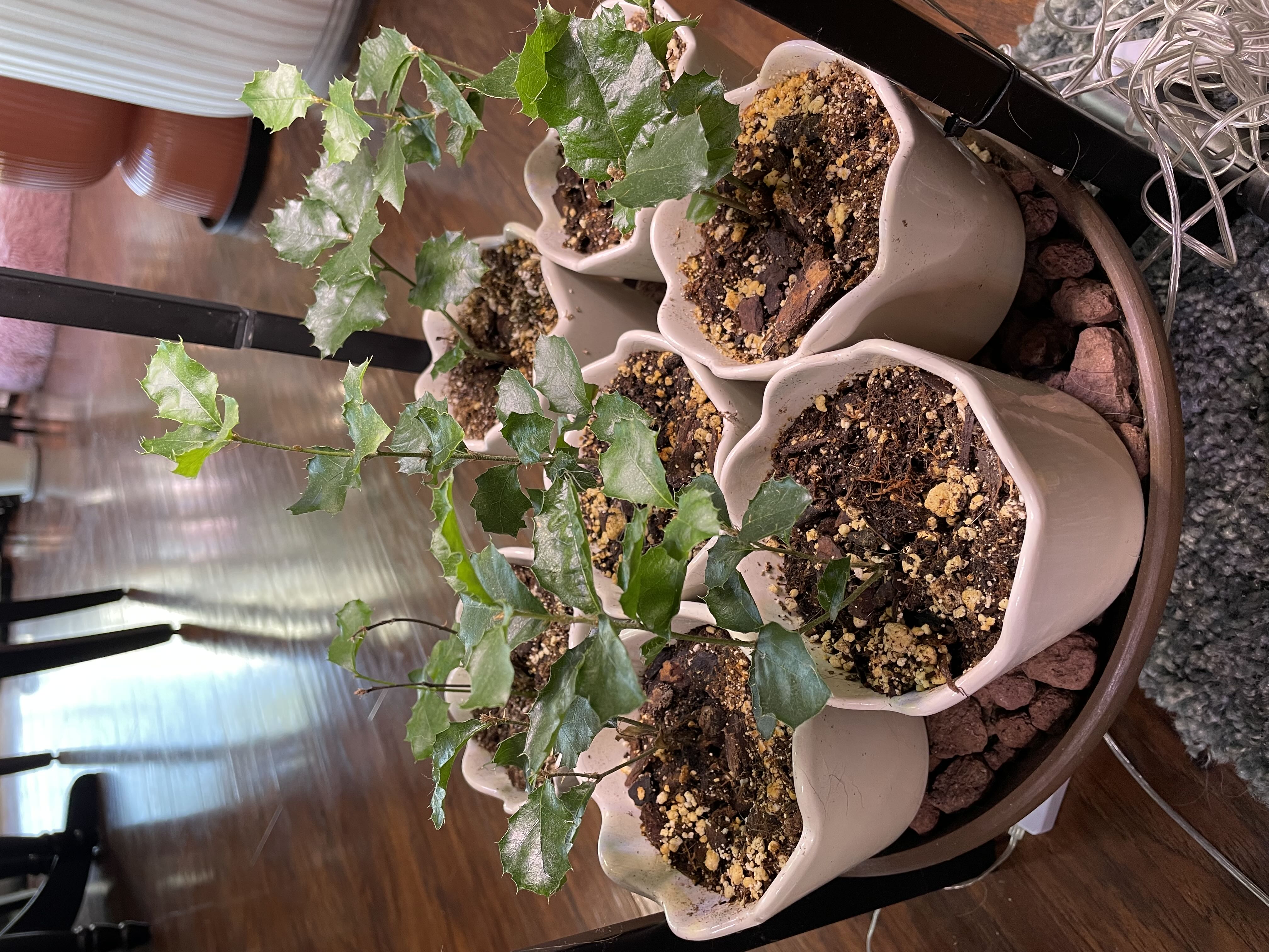 Photo from the post
