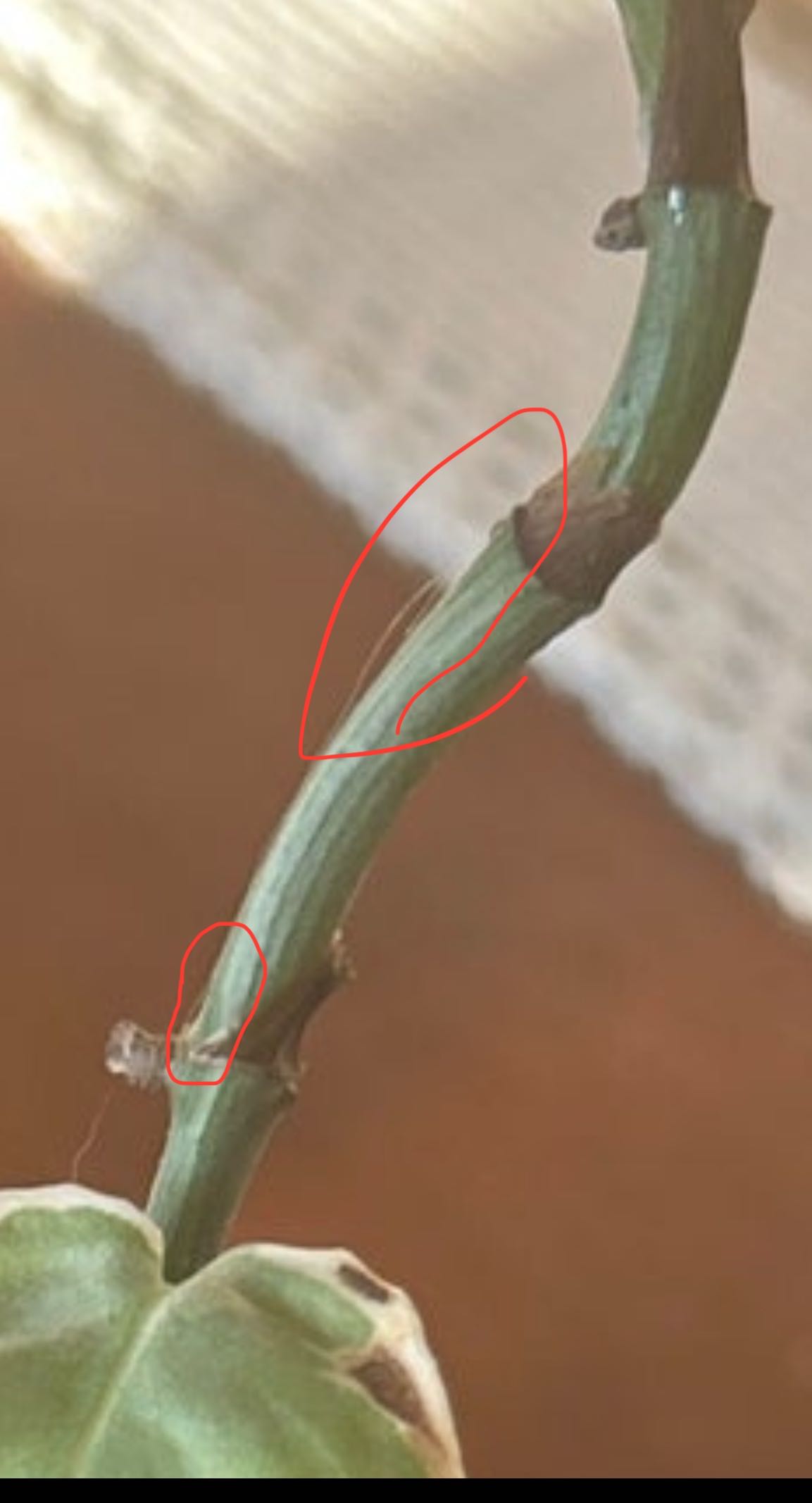 Photo from the post