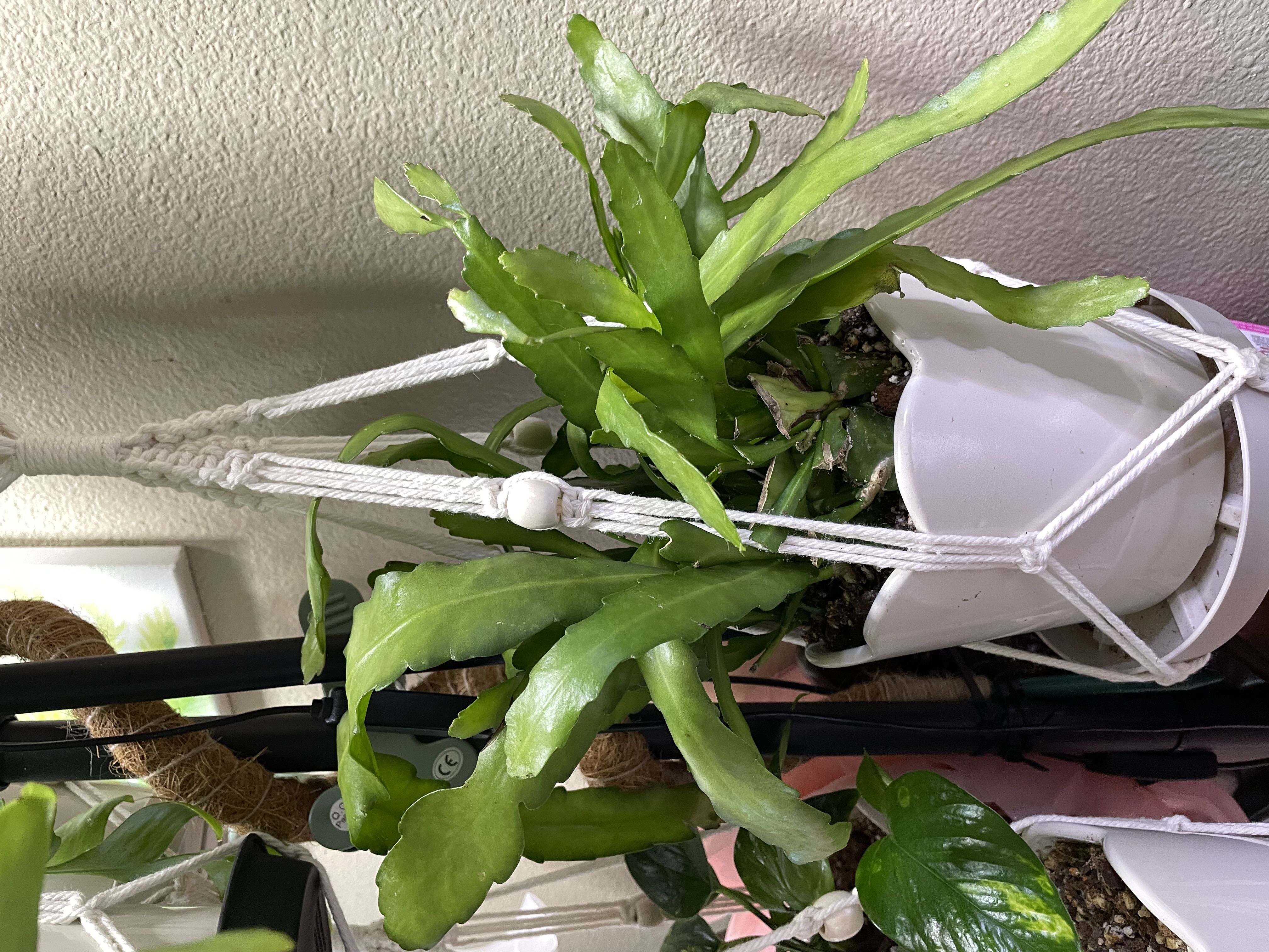 Photo from the post