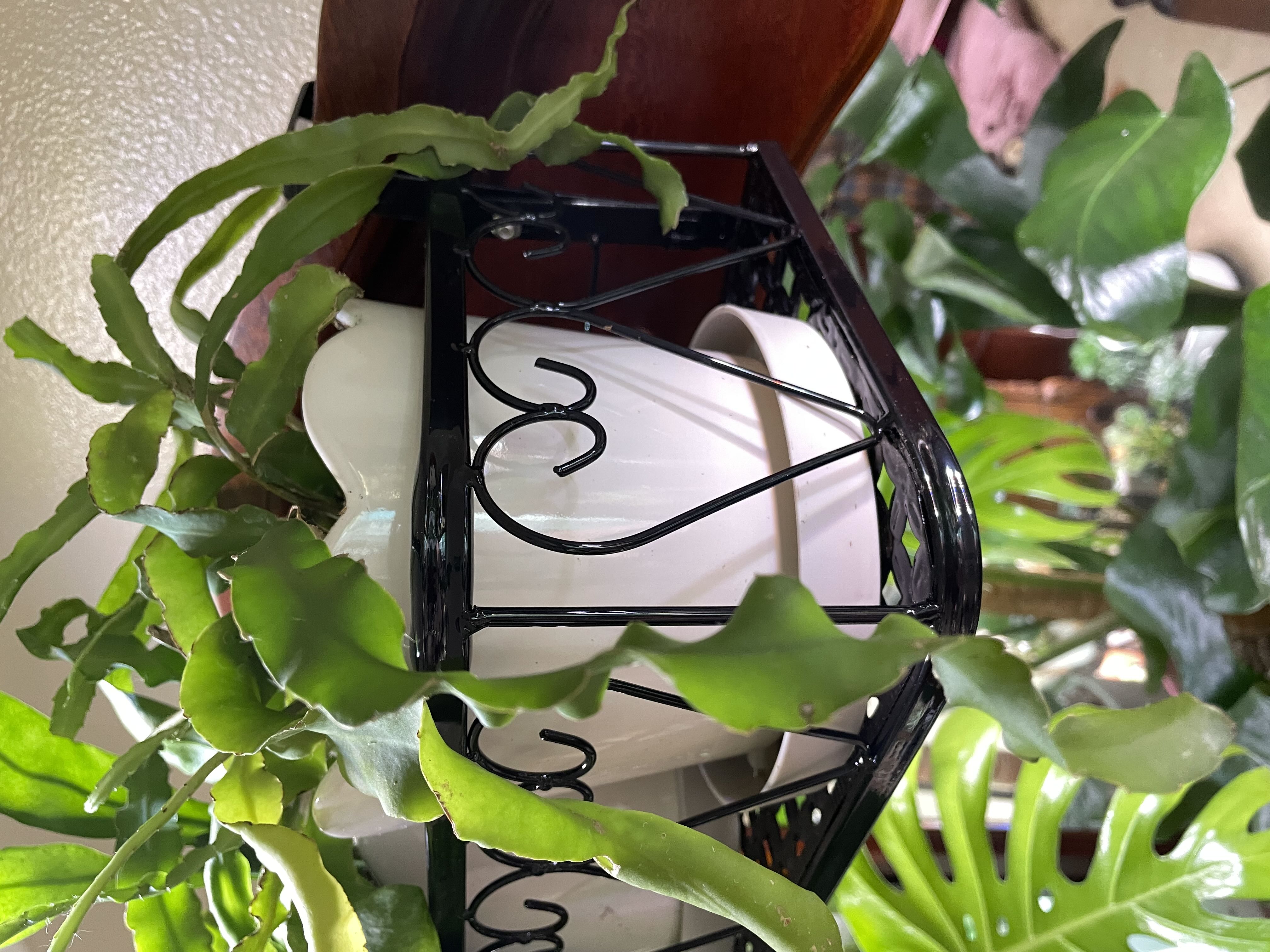 Photo from the post