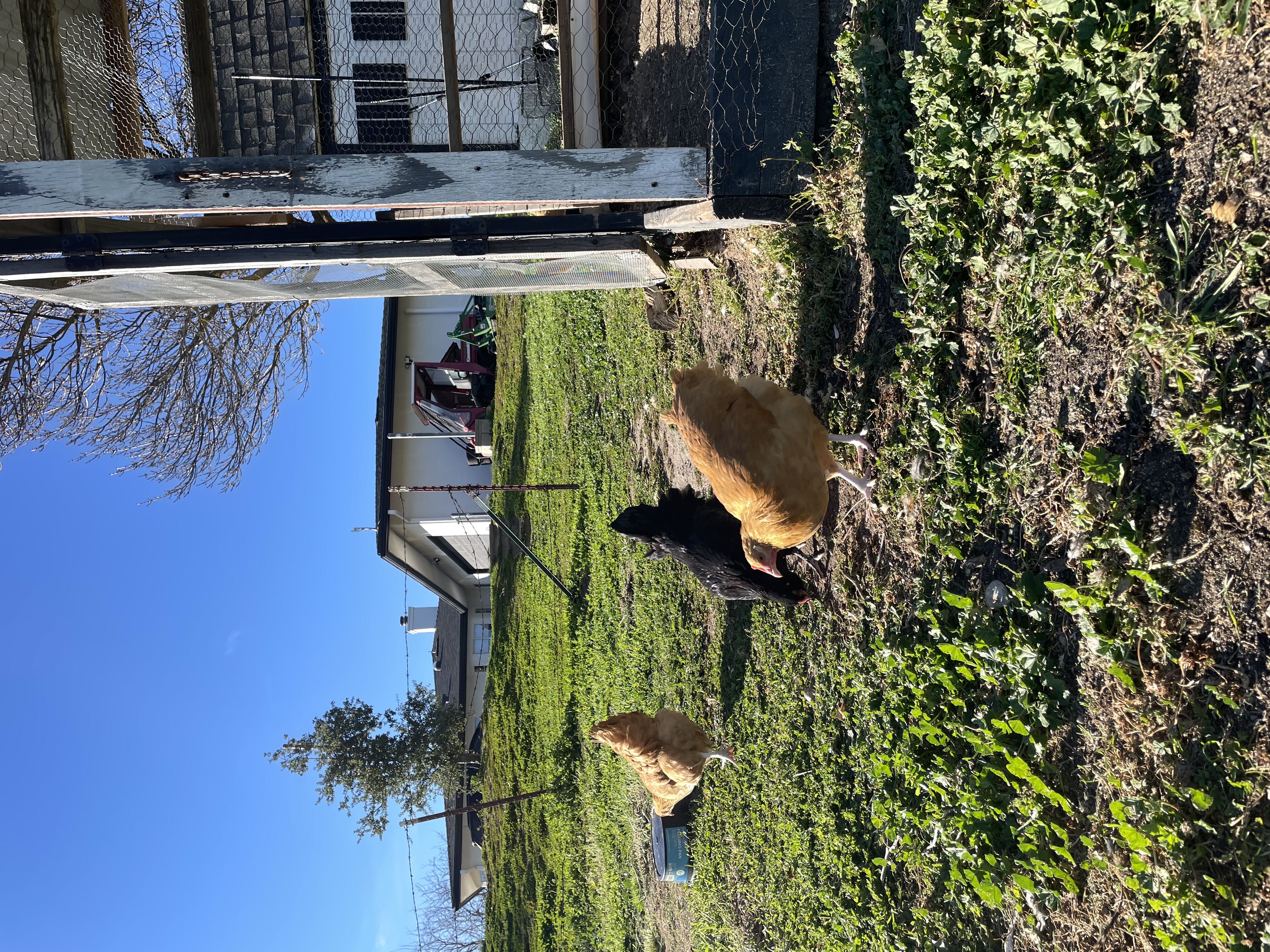 Photo from the post