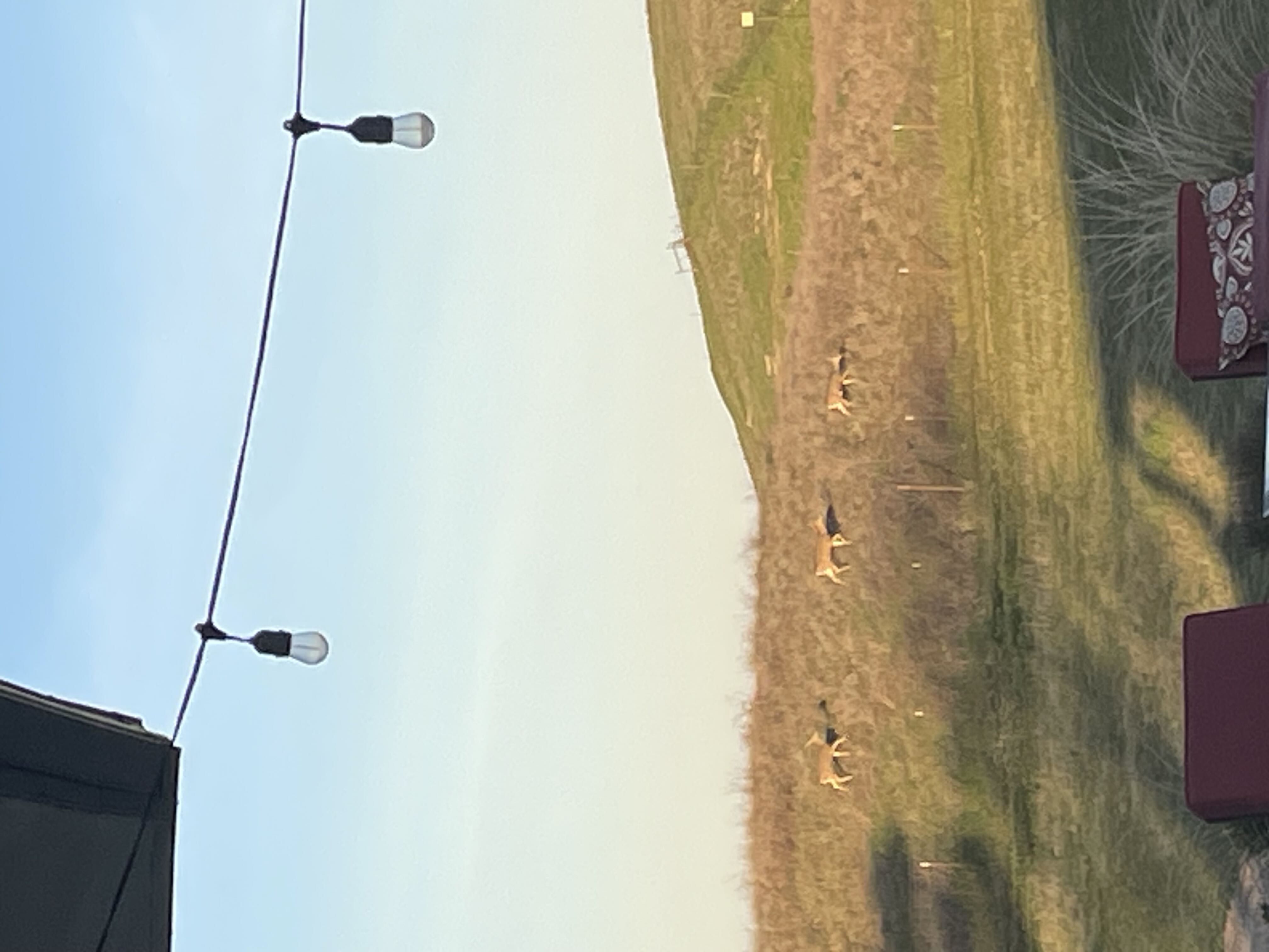 Photo from the post