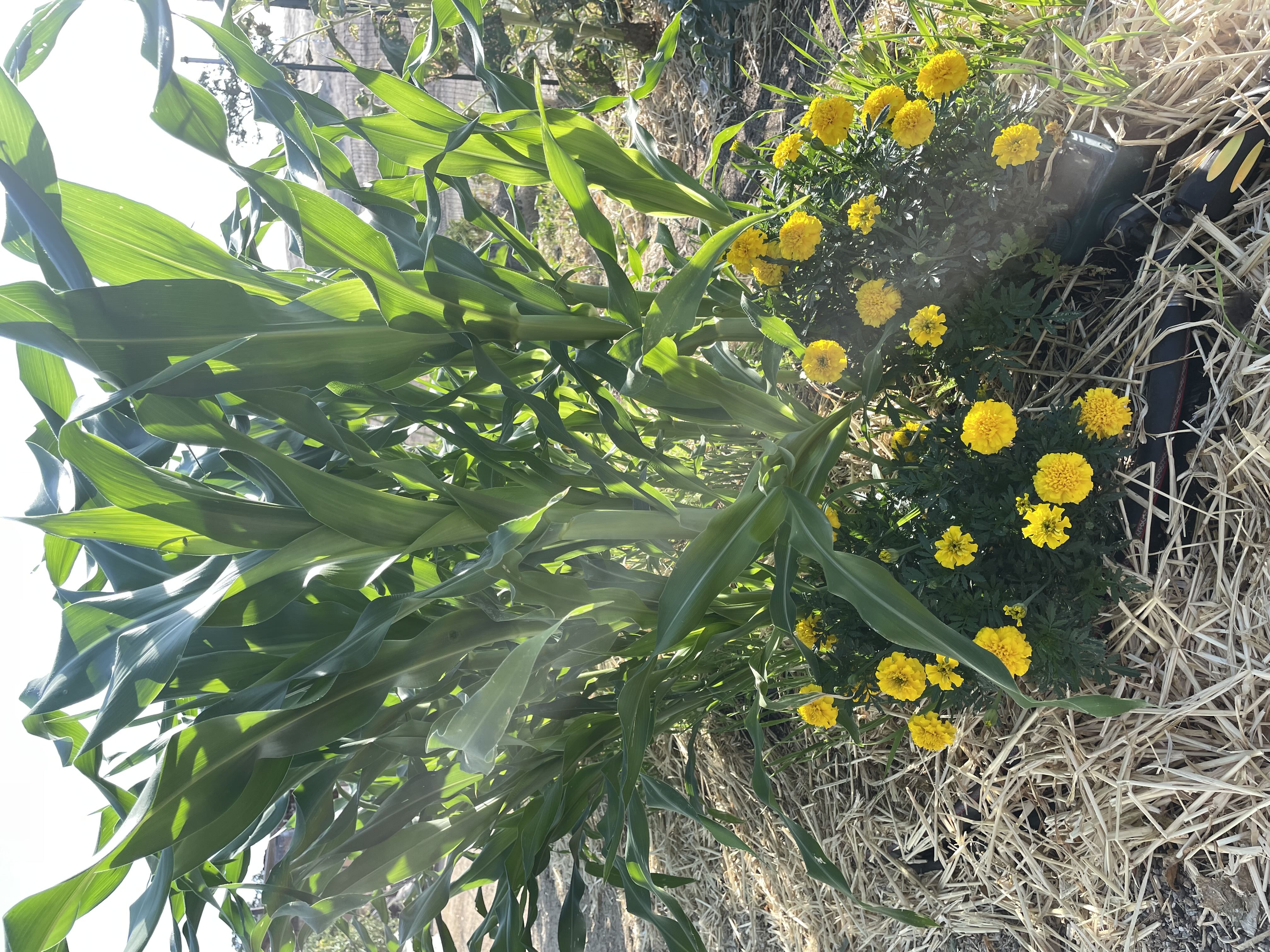 Photo from the post