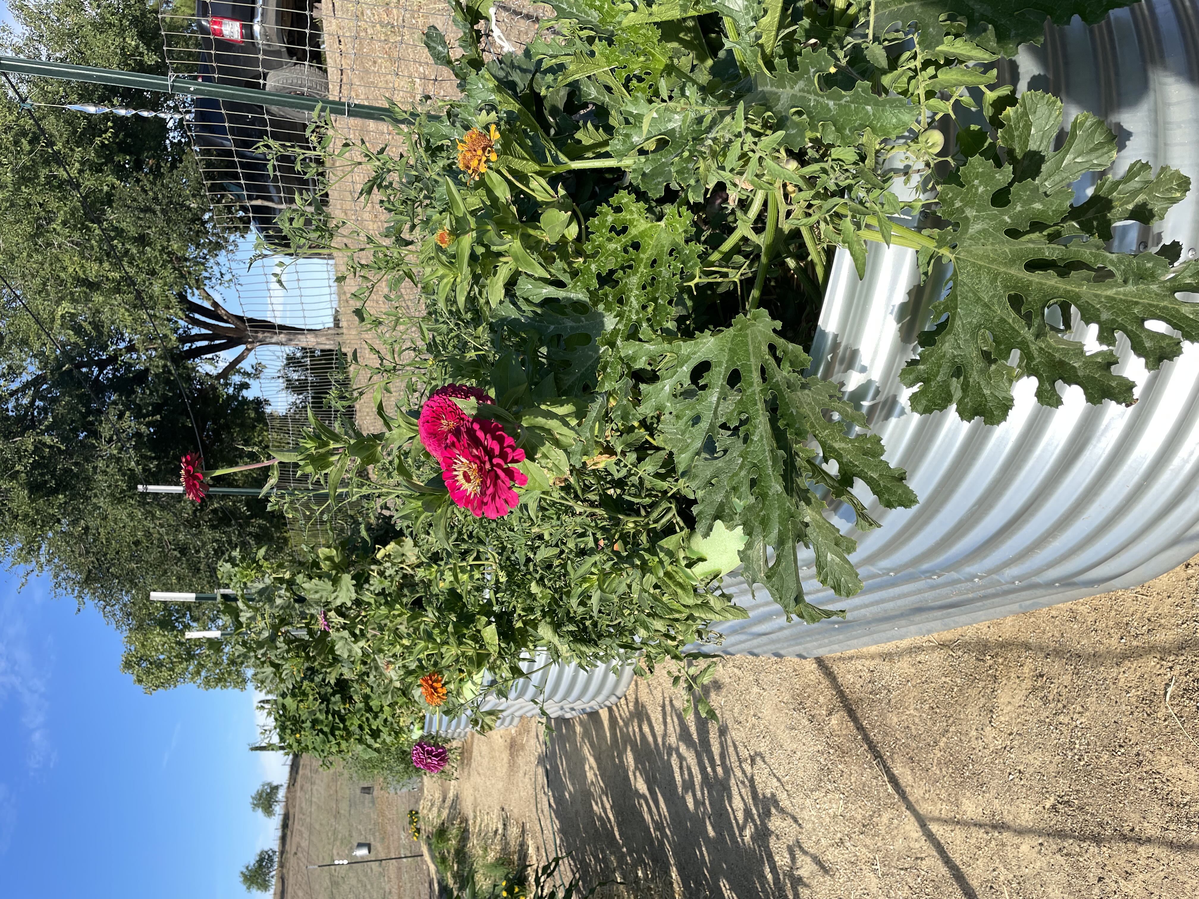 Photo from the post
