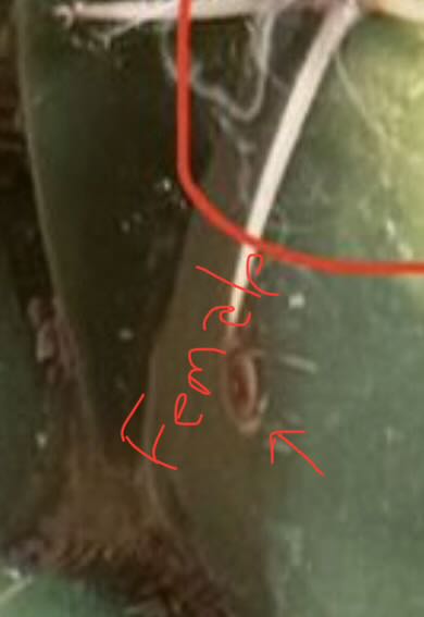 Photo from the post