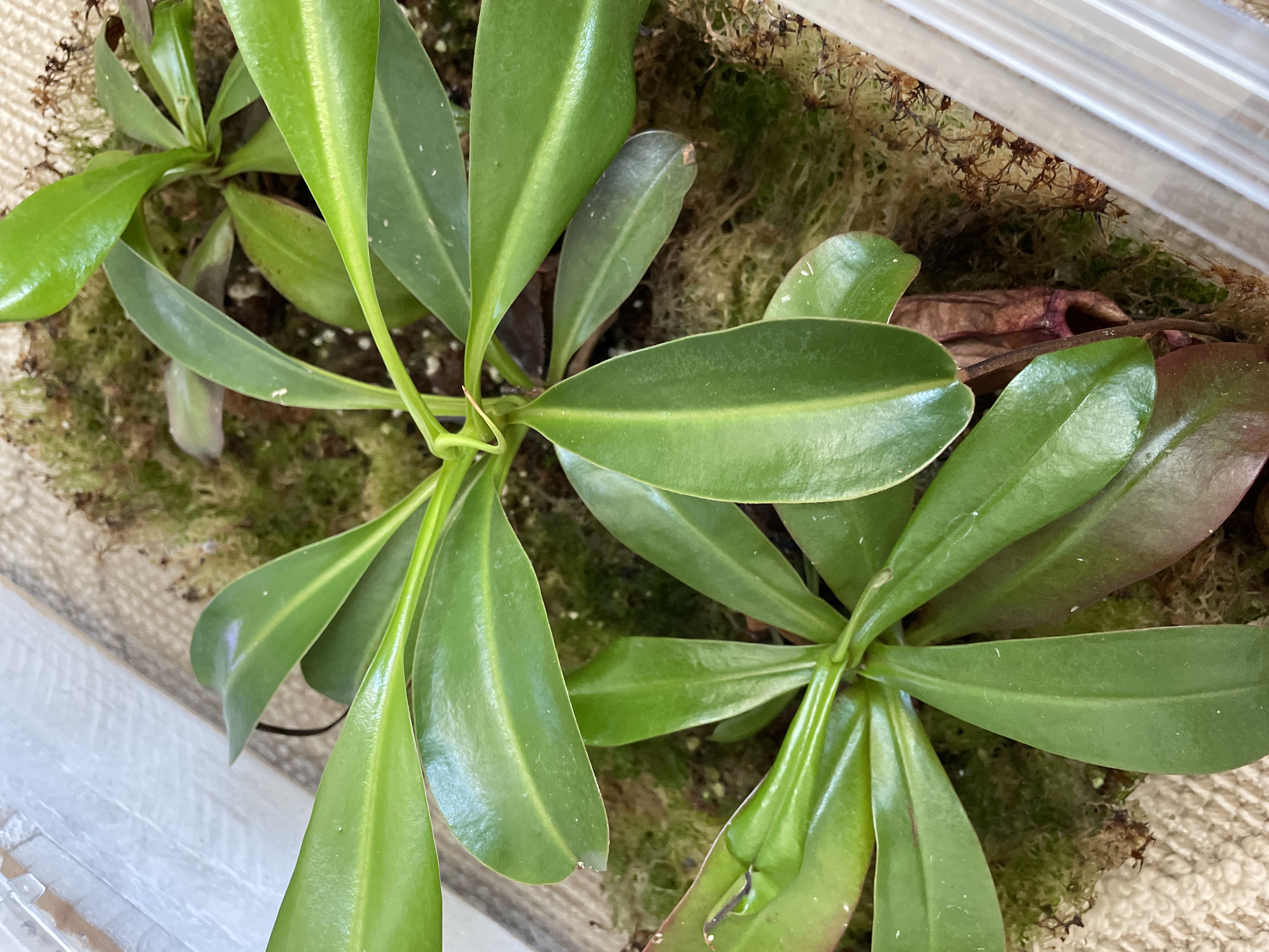 Photo from the post