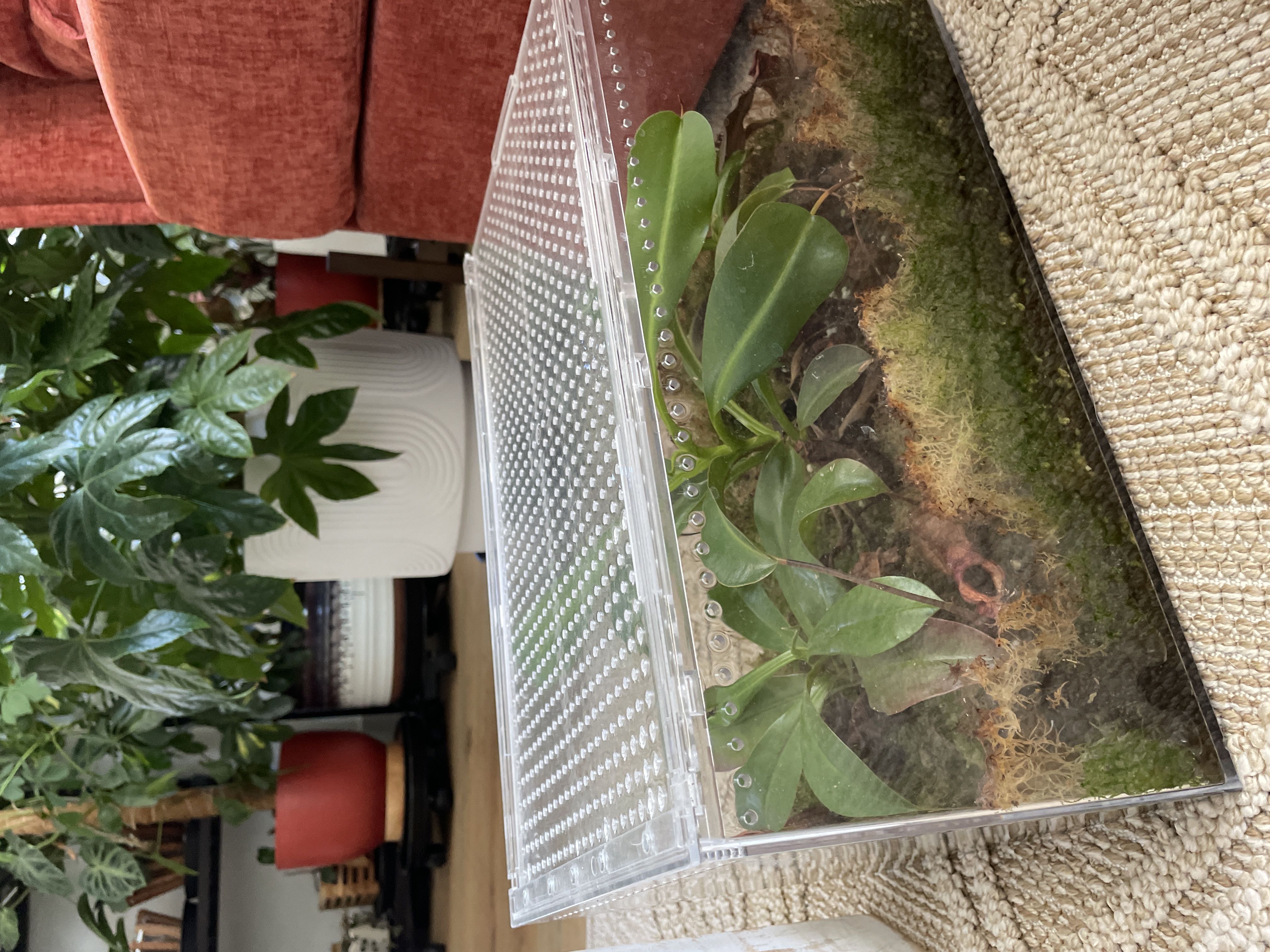 Photo from the post