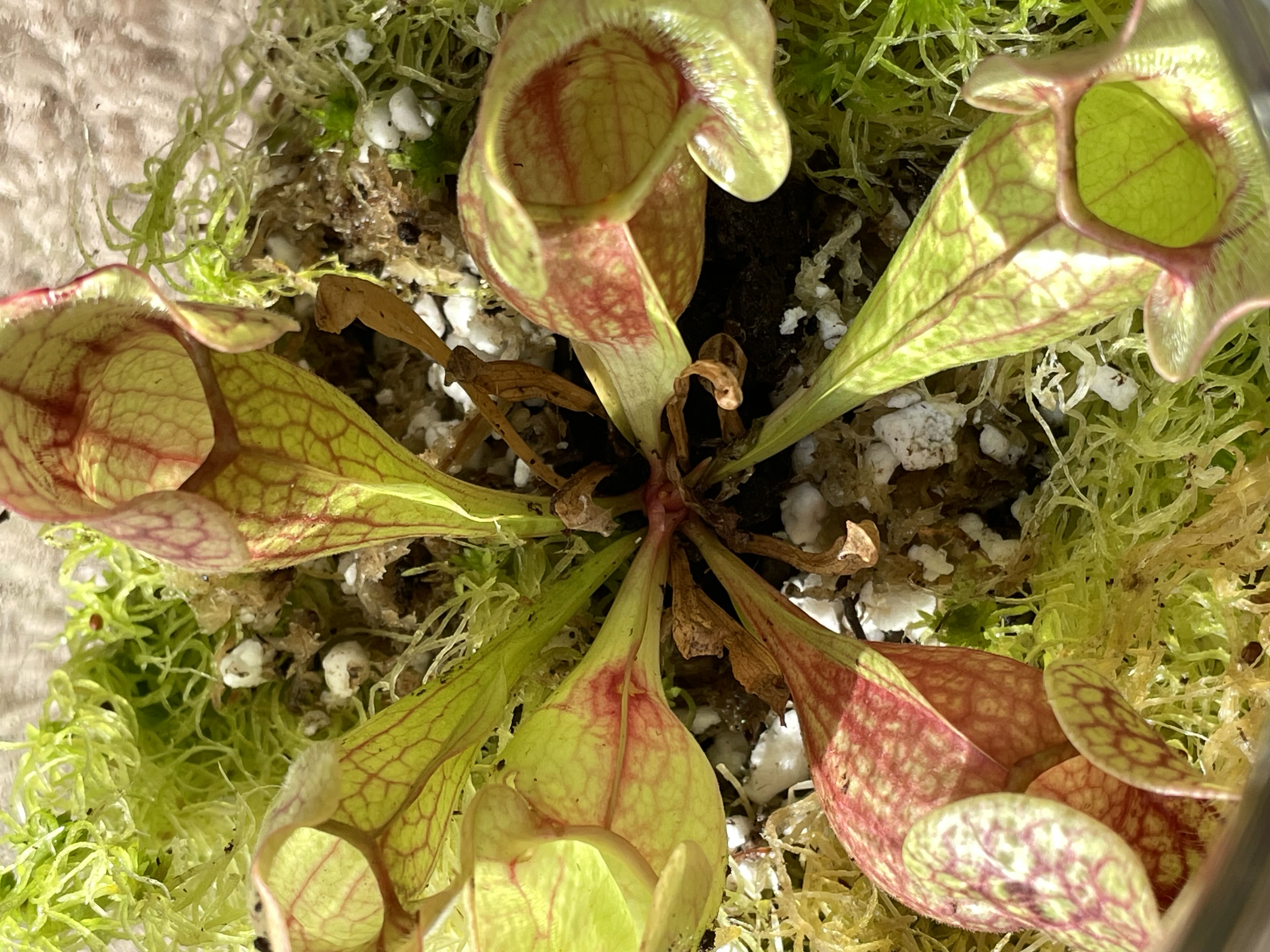 Photo from the post