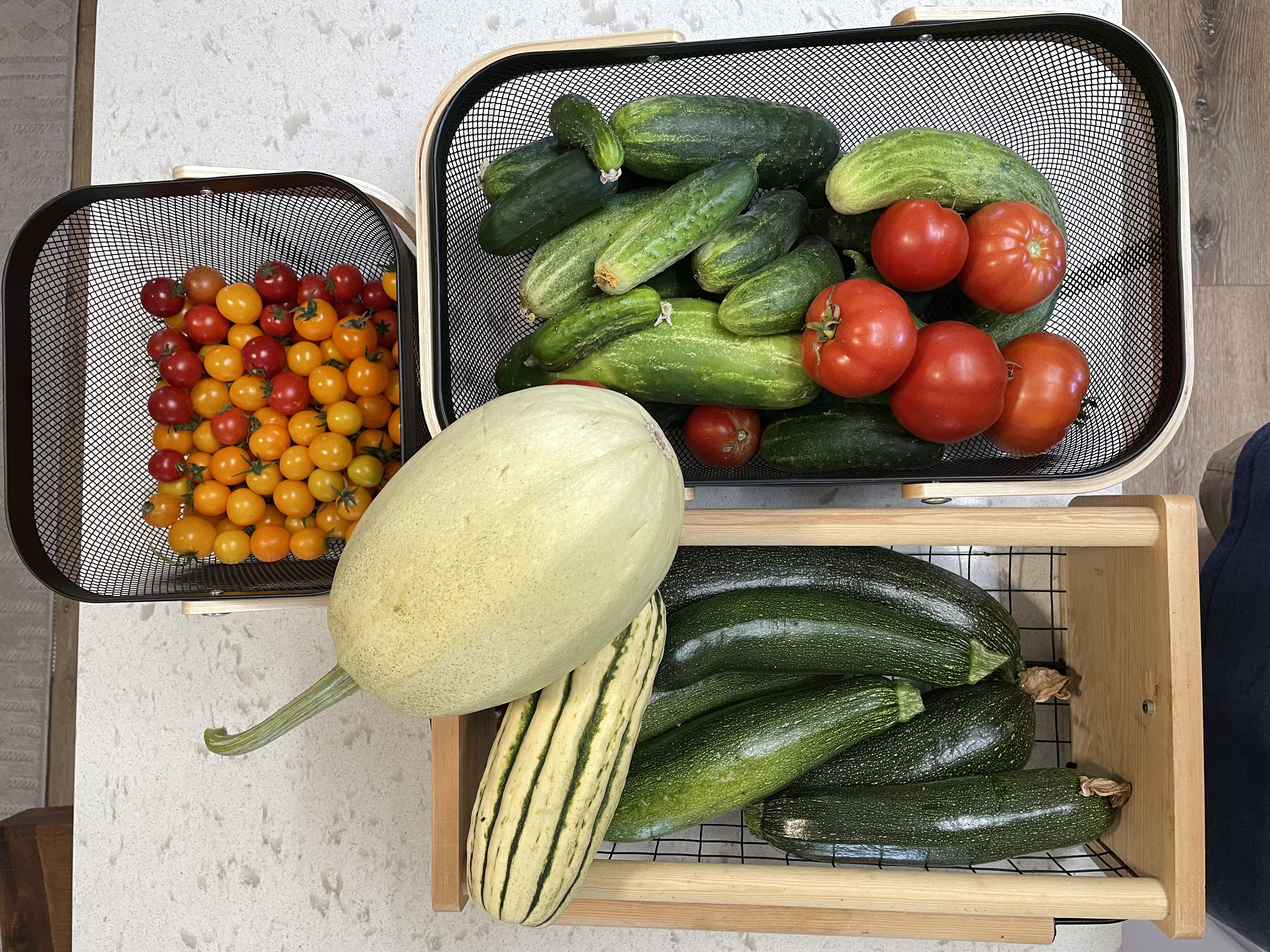 Photo from the post