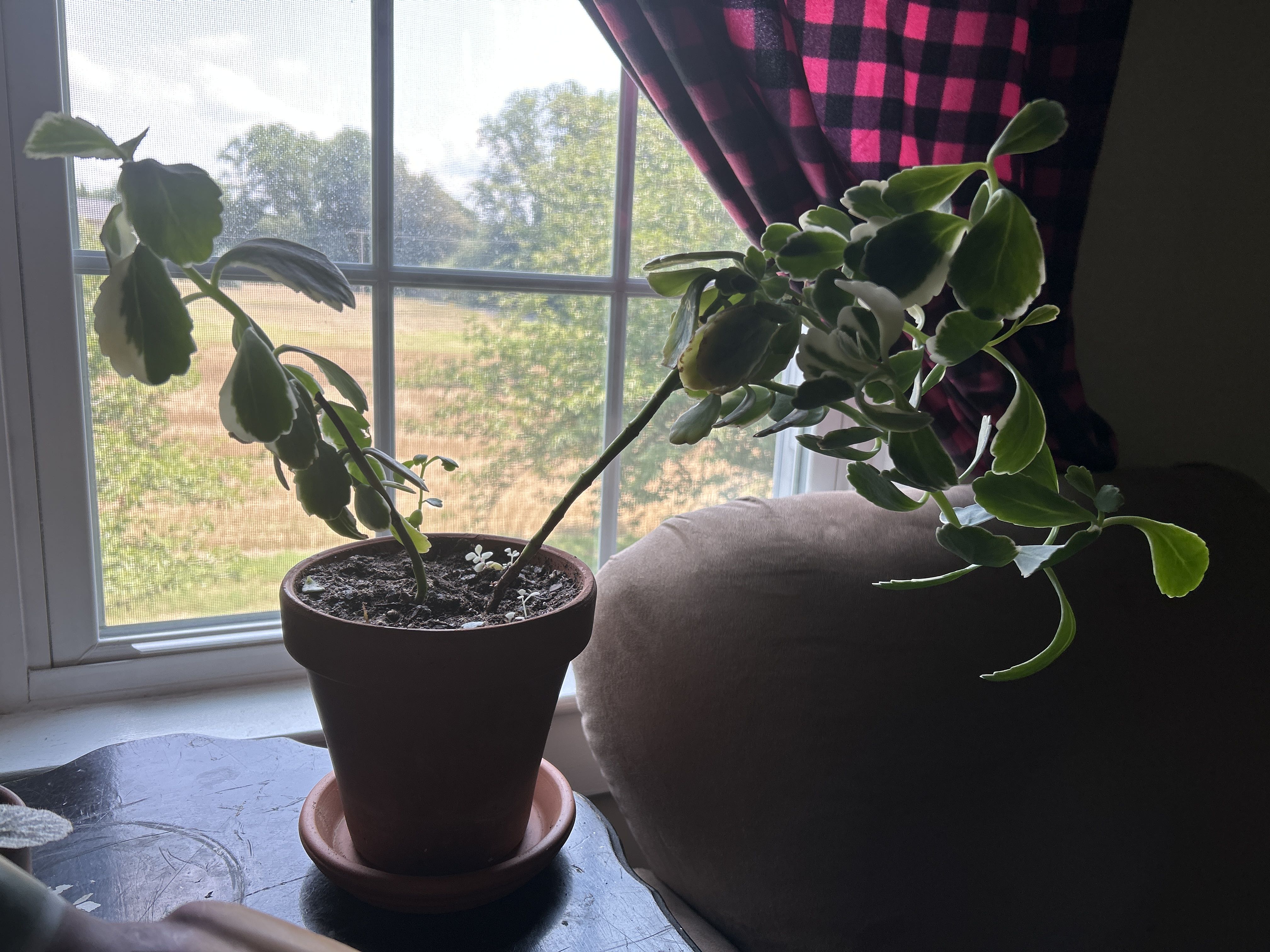 Photo from the post