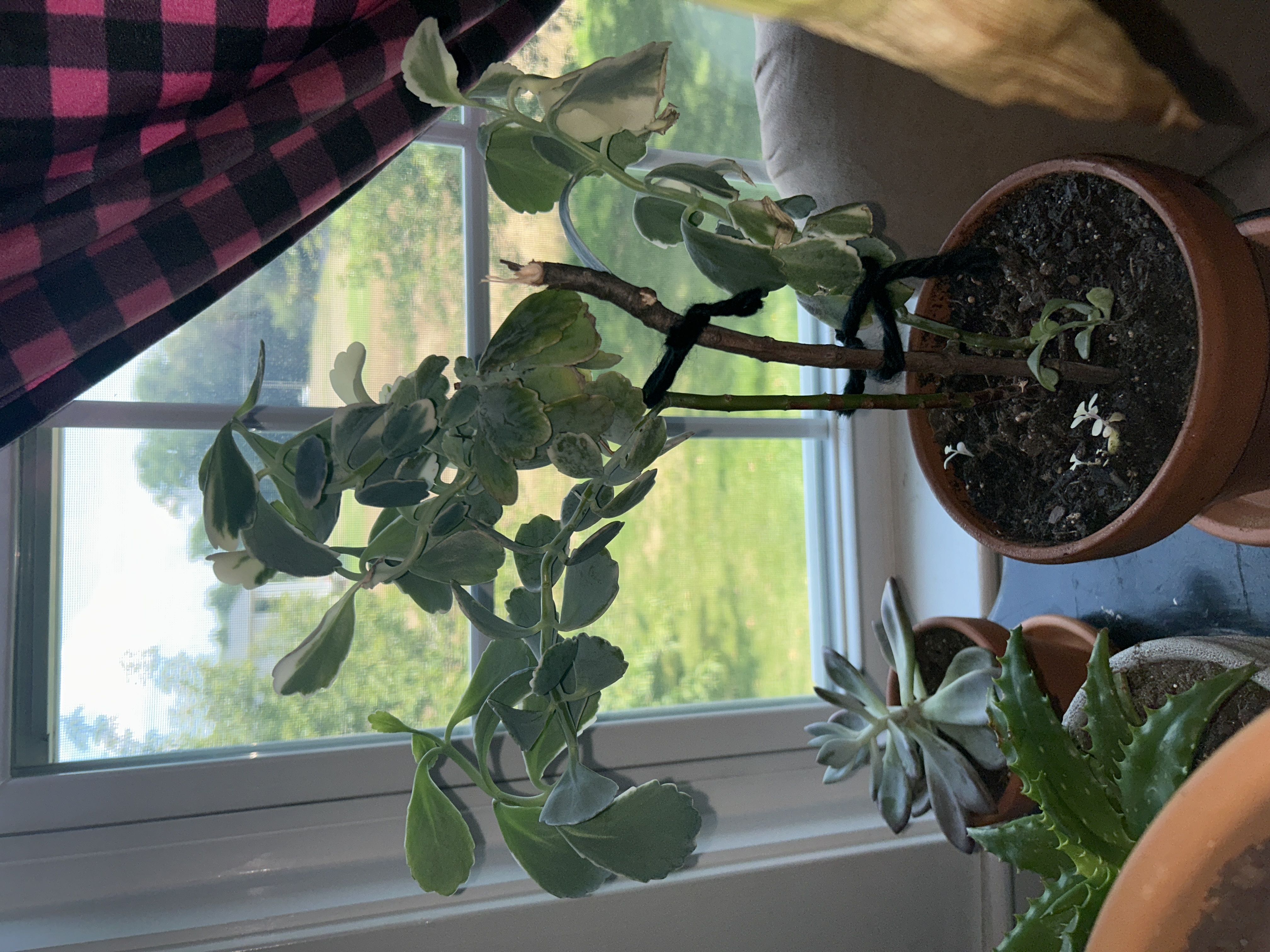 Photo from the post