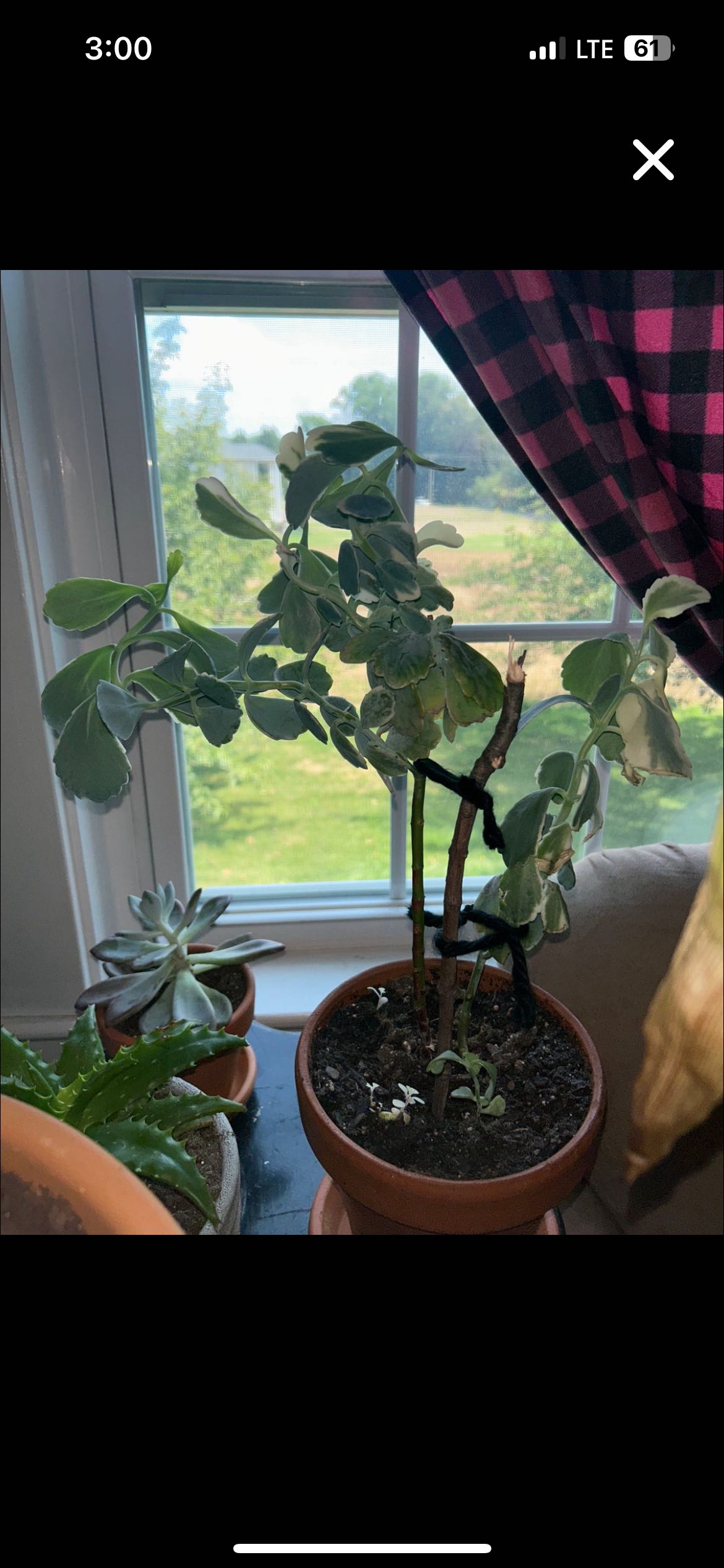 Photo from the post