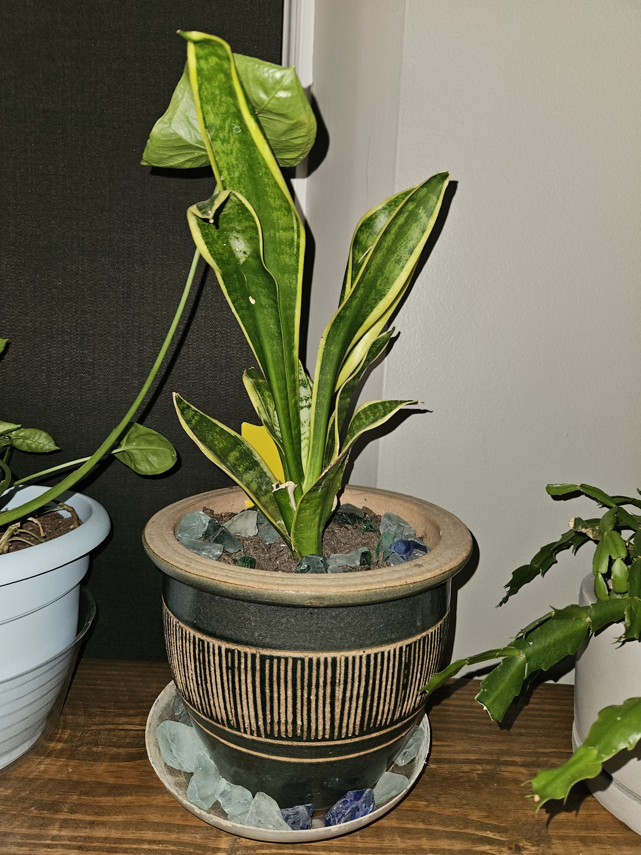 Photo from the post