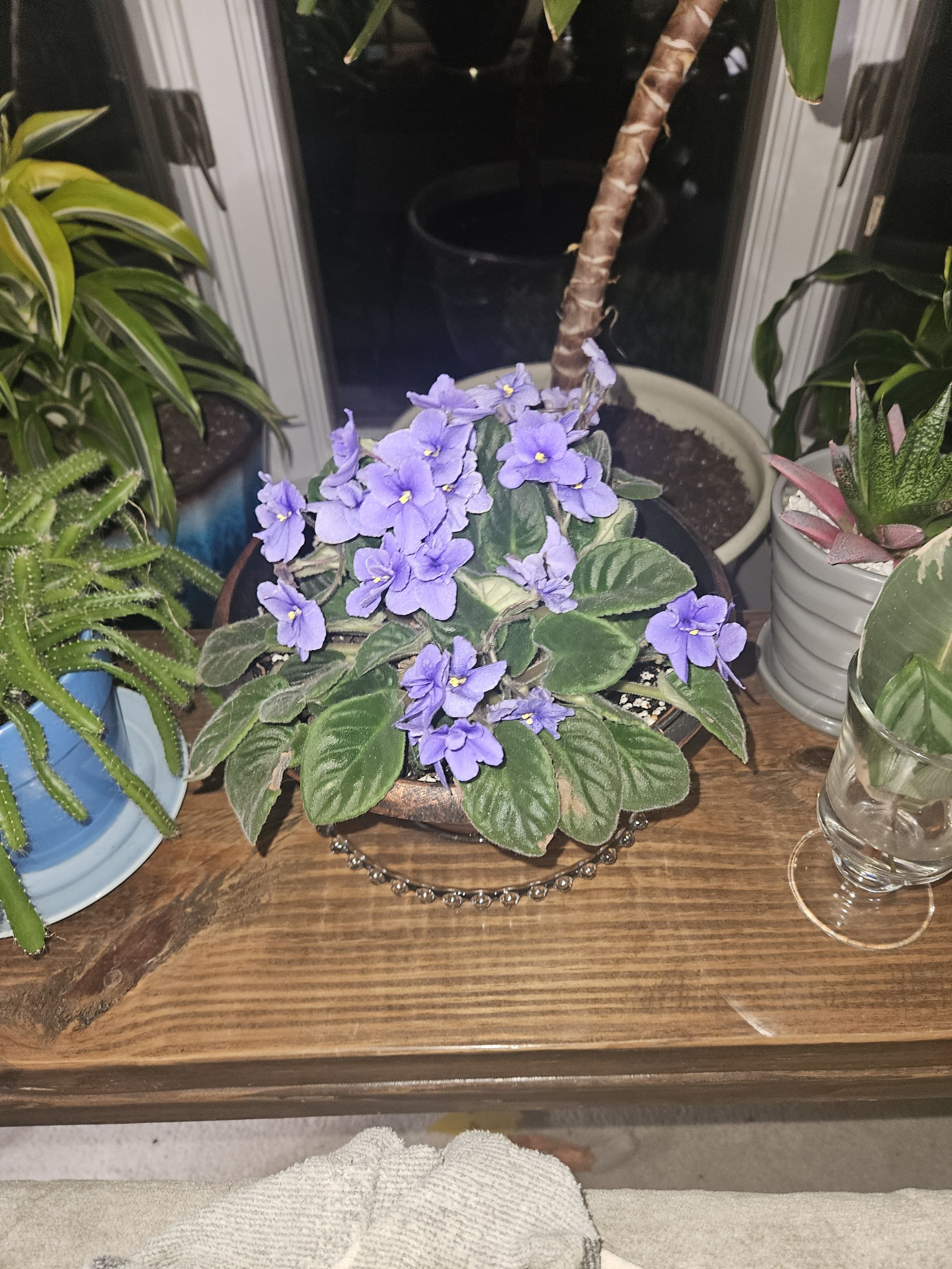 Photo from the post