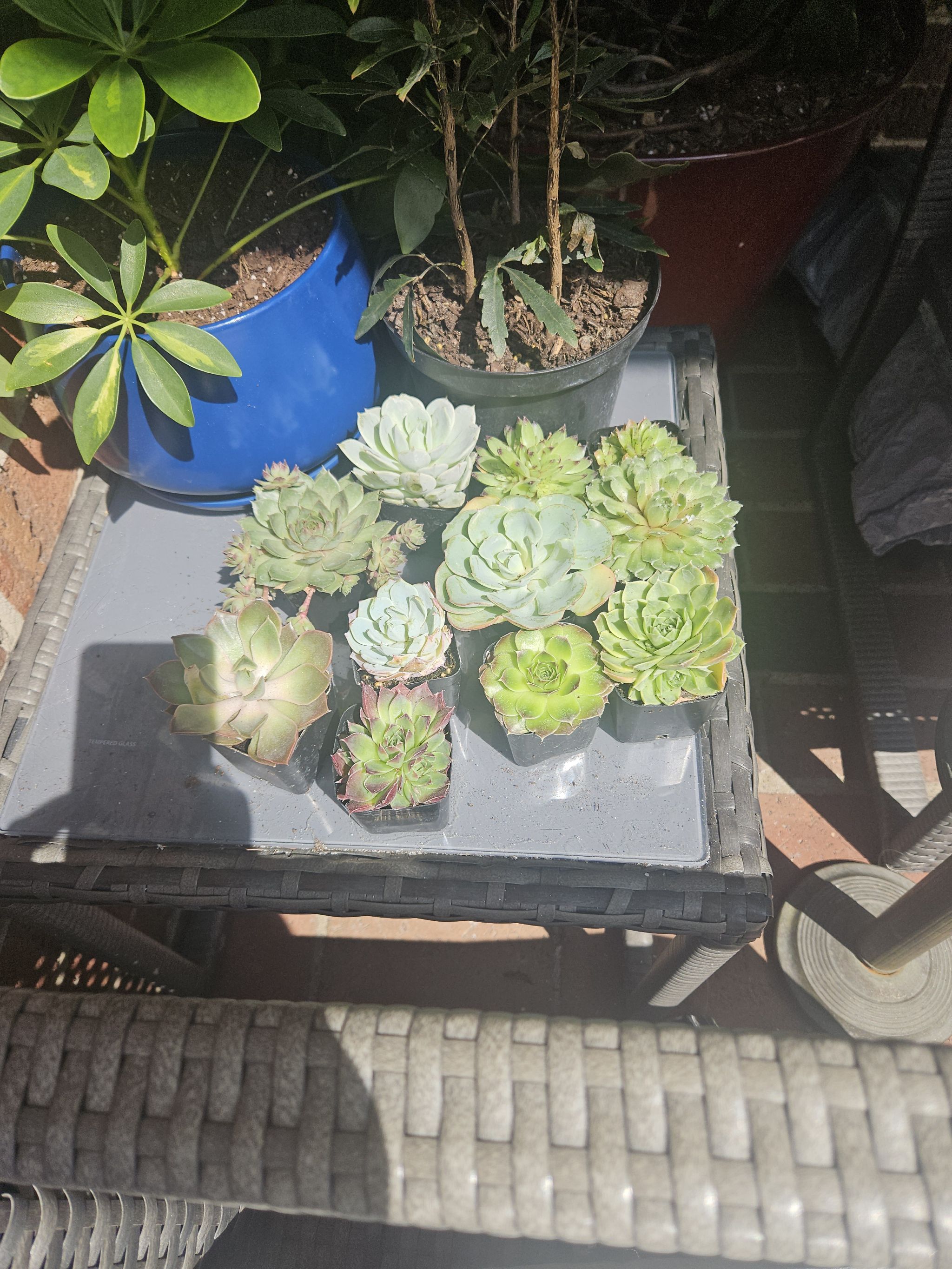 Photo from the post