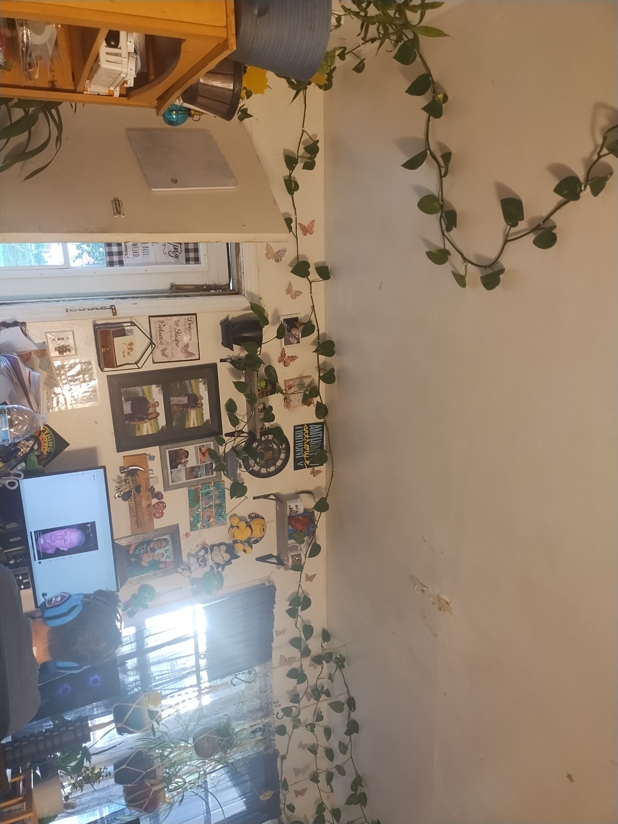 Photo from the post