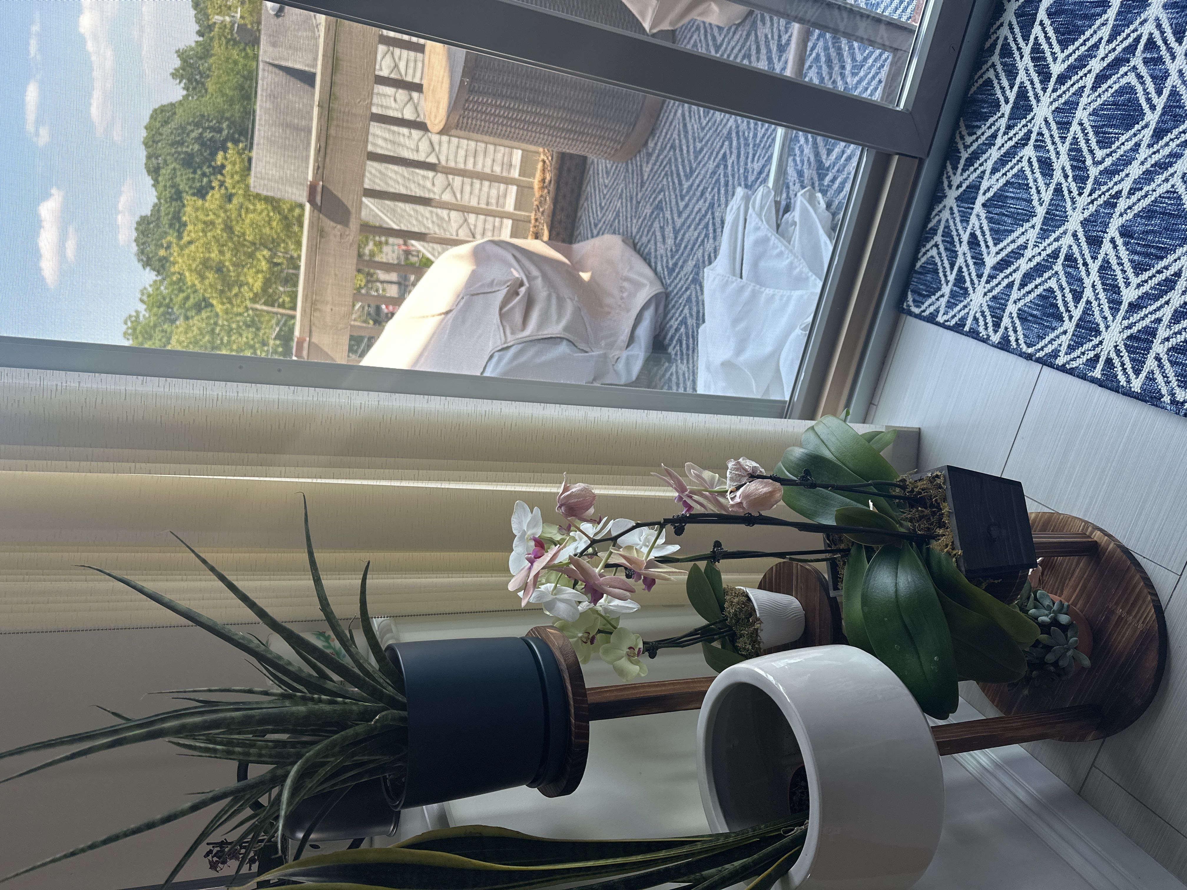Photo from the post