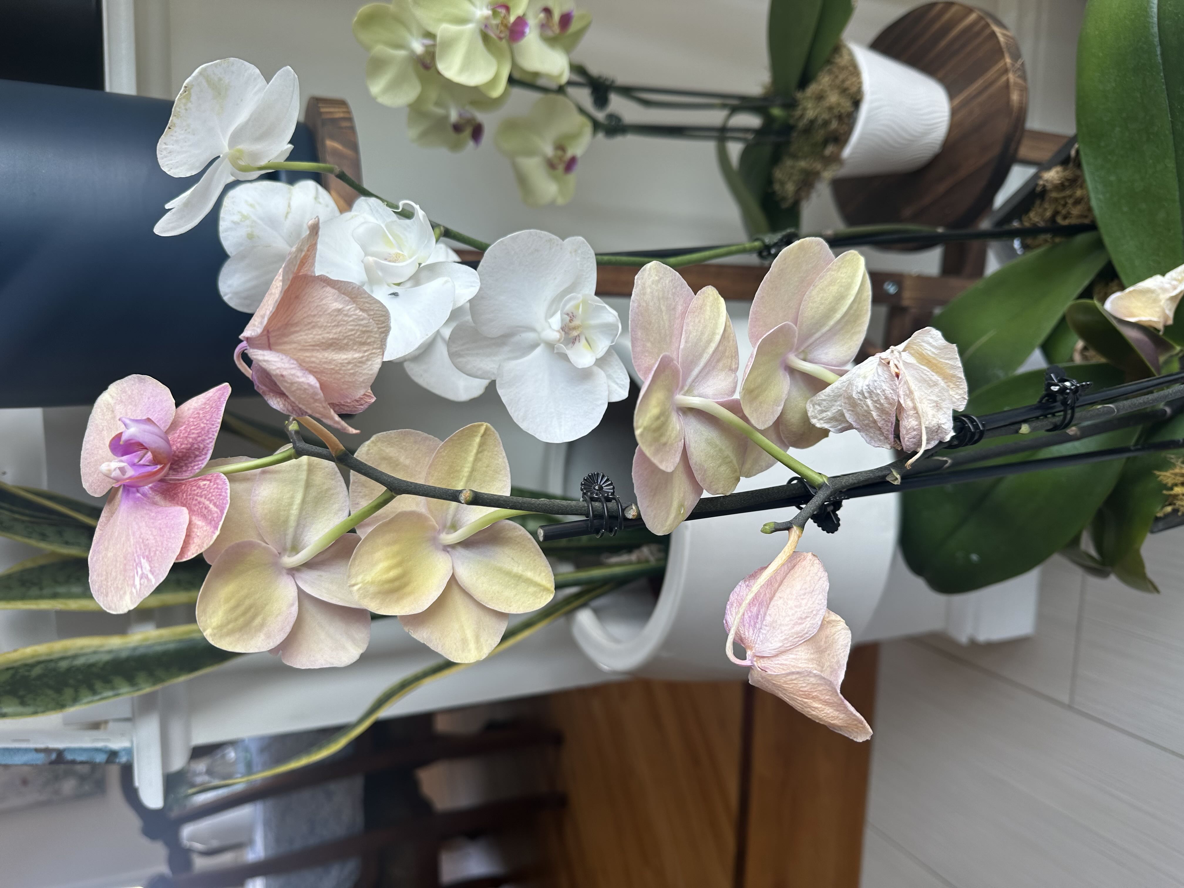 Photo from the post