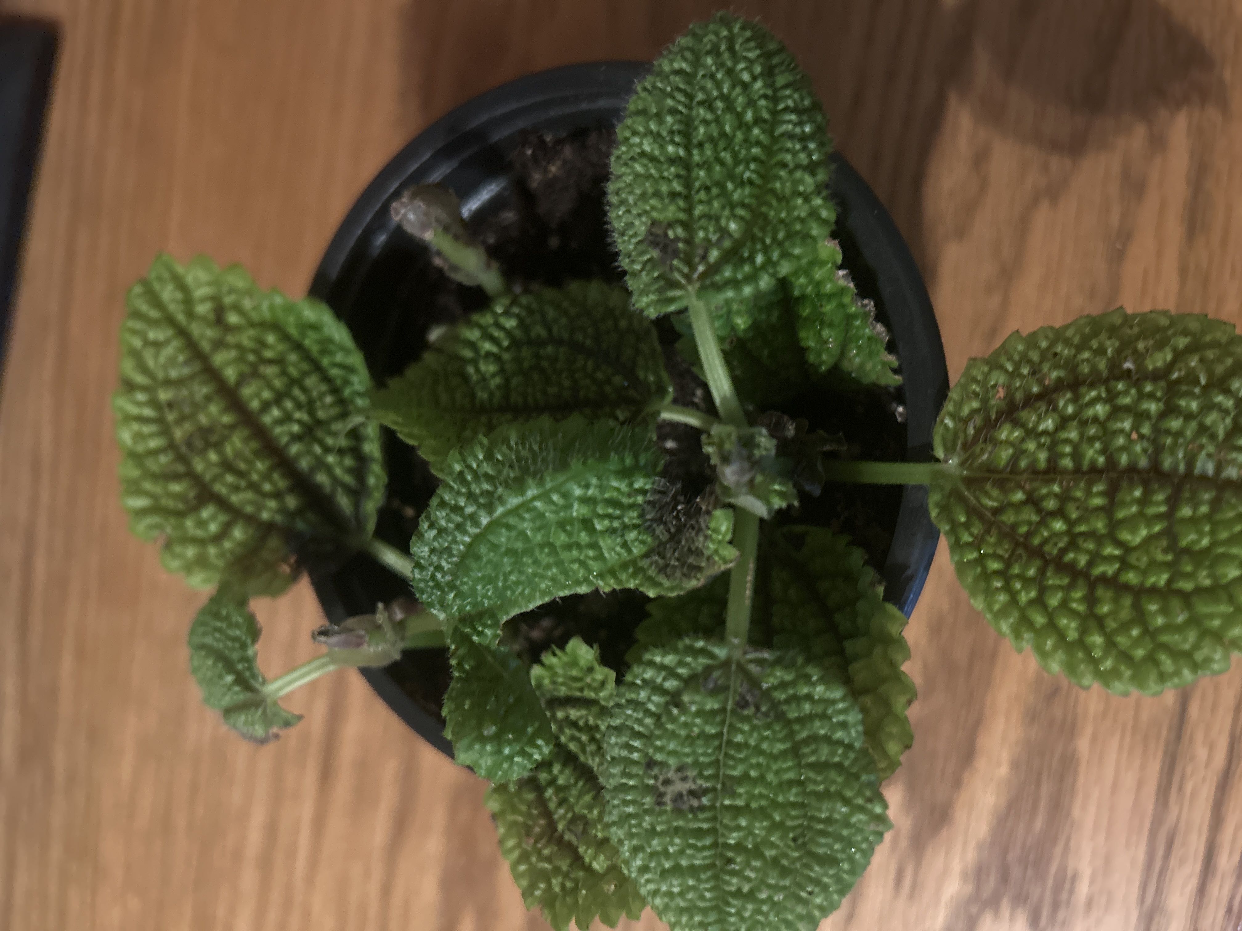Photo from the post