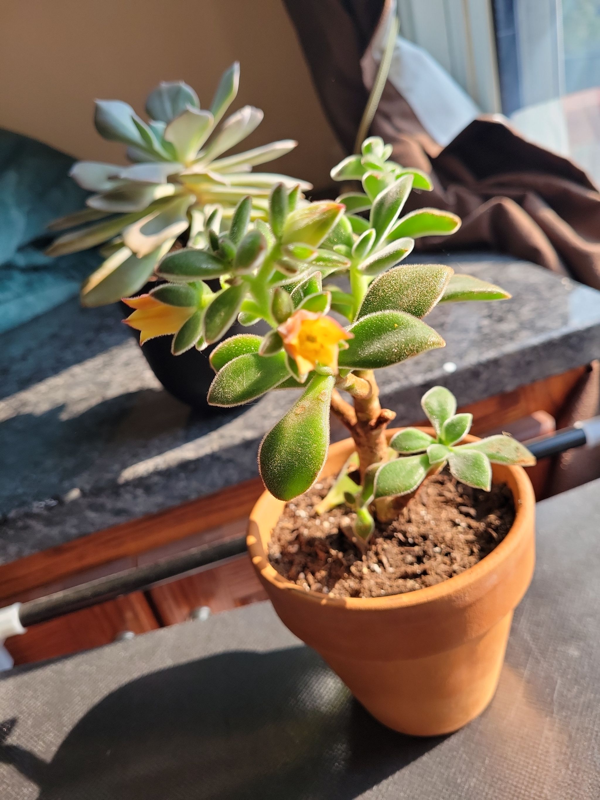 Photo from the post