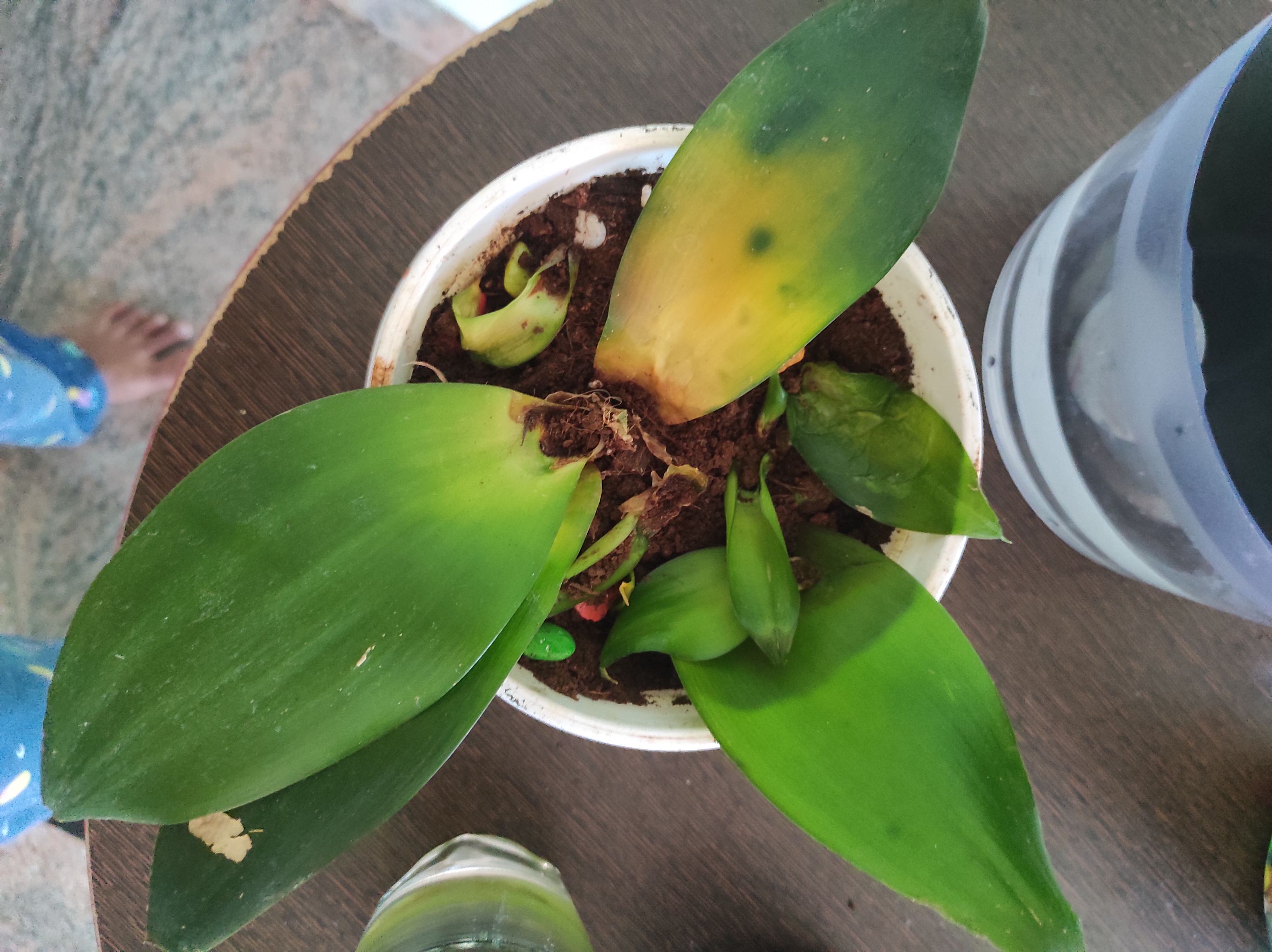 Photo from the post