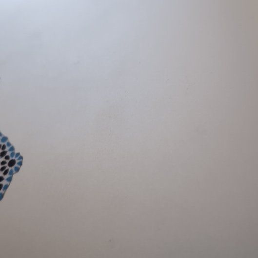 Photo of the plant species cherimoya by @NoblyPygmypoppy named Apollo on Greg, the plant care app