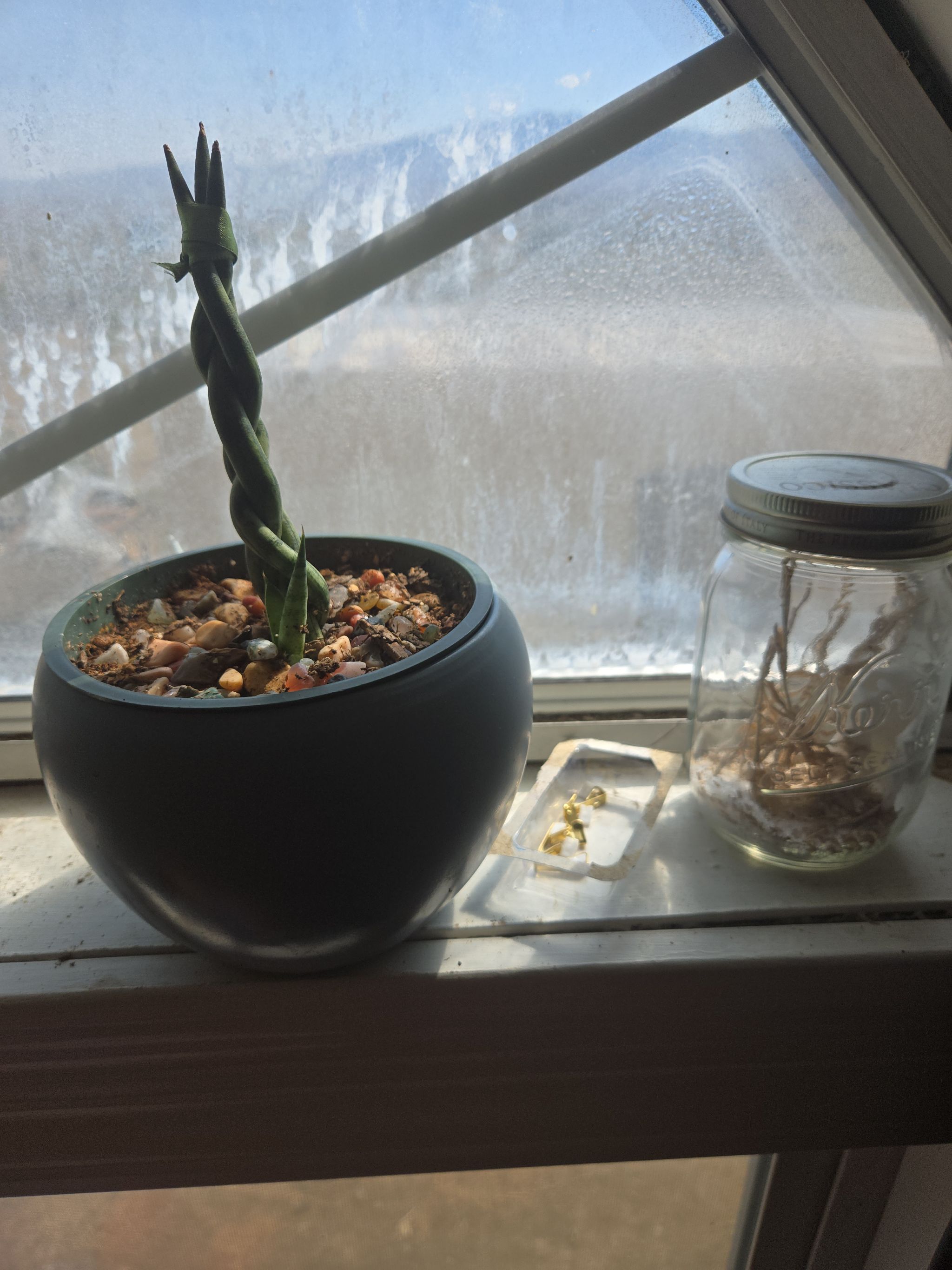 Photo from the post