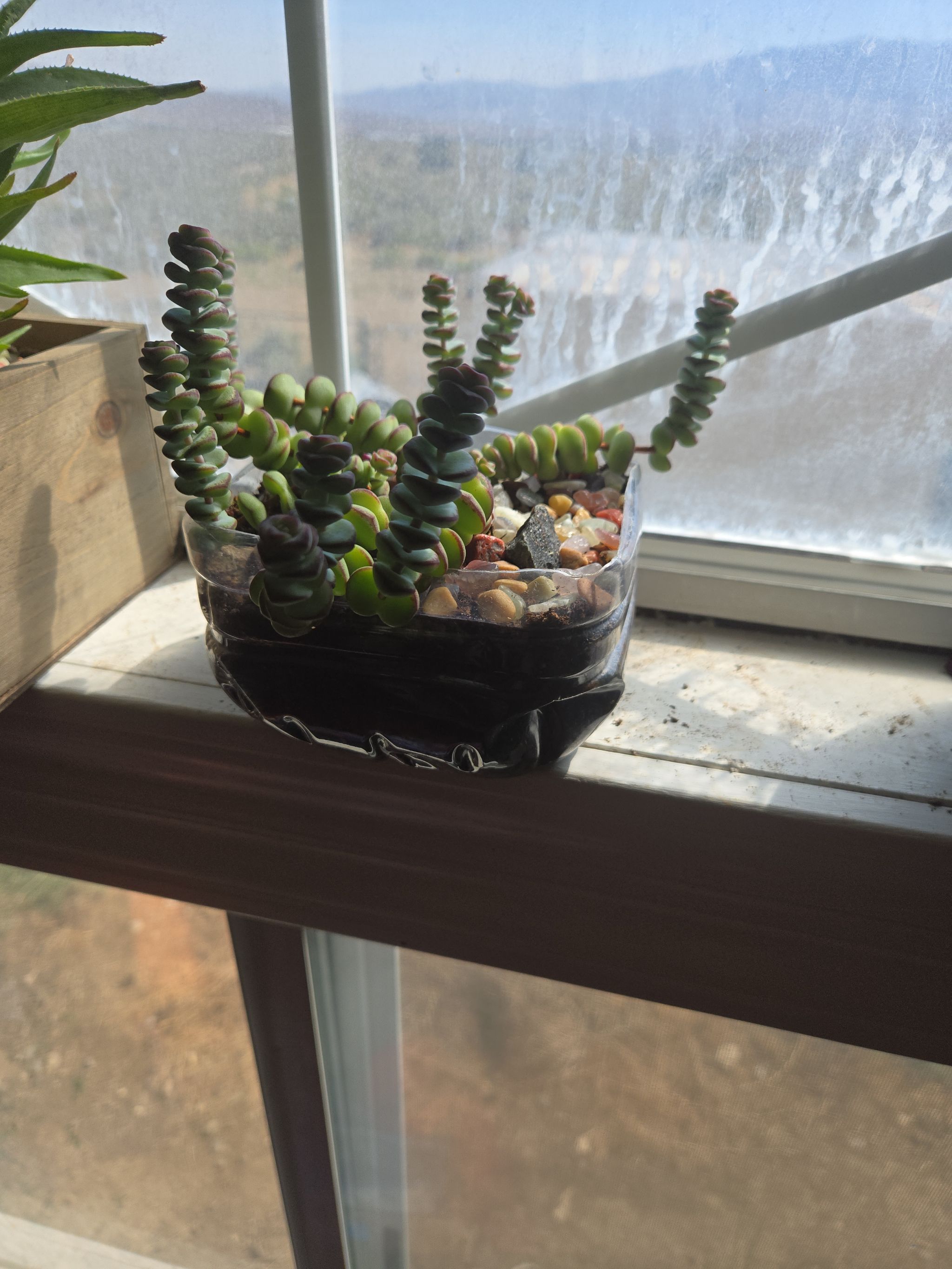 Photo from the post