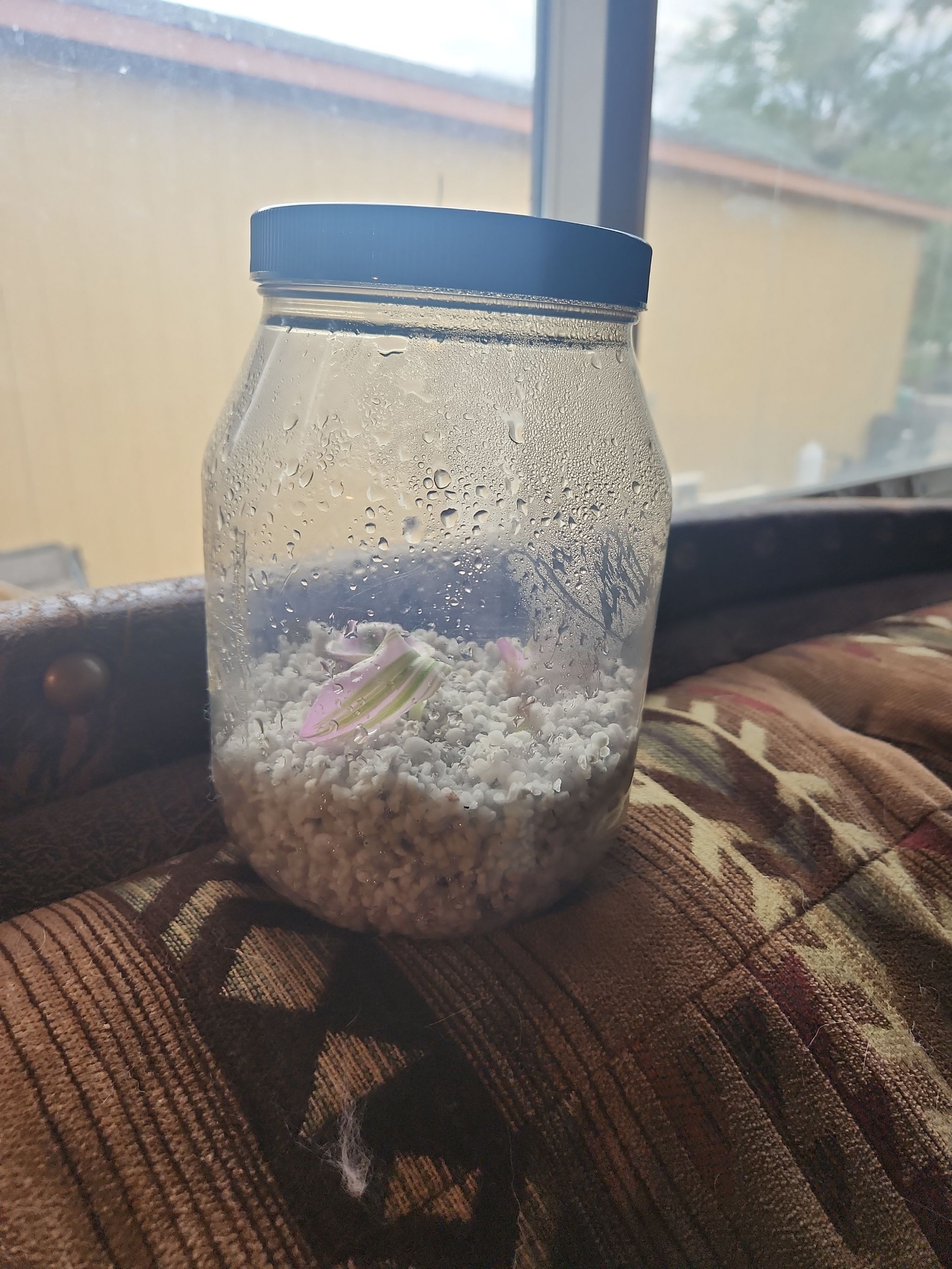Photo from the post