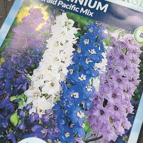 Photo of the plant species Delphinum by @HeroArnoseris named Delilah on Greg, the plant care app