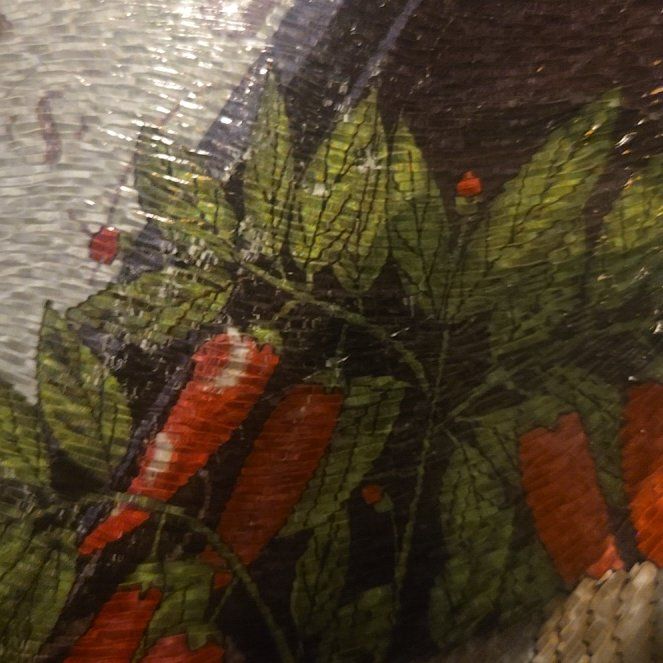 Photo of the plant species Maidenhair Spleenwort by @CleanPinetree named Spike Leaves on Greg, the plant care app