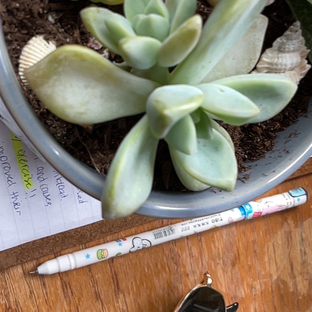 Photo of the plant species Graptosedum Ghosty Crested by @SwiftBlackrose named Planty on Greg, the plant care app